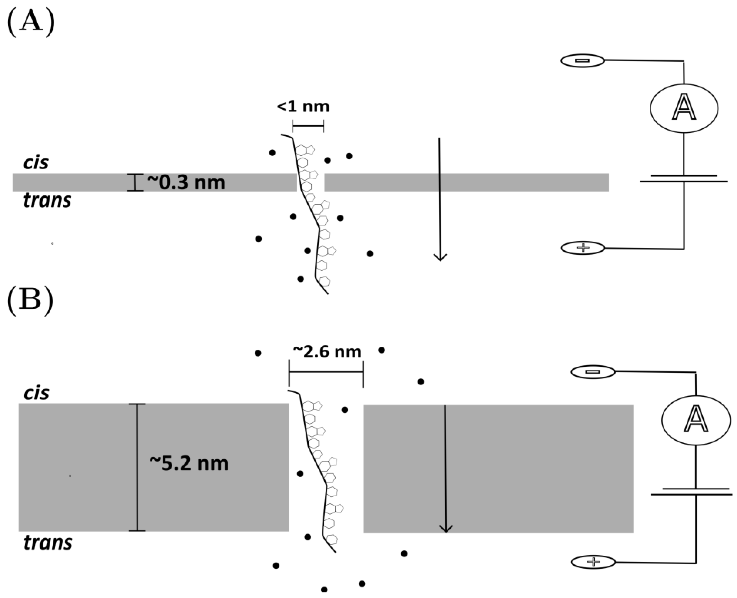 Micromachines 14 00459 g002 Micromachines 14 00459 g002