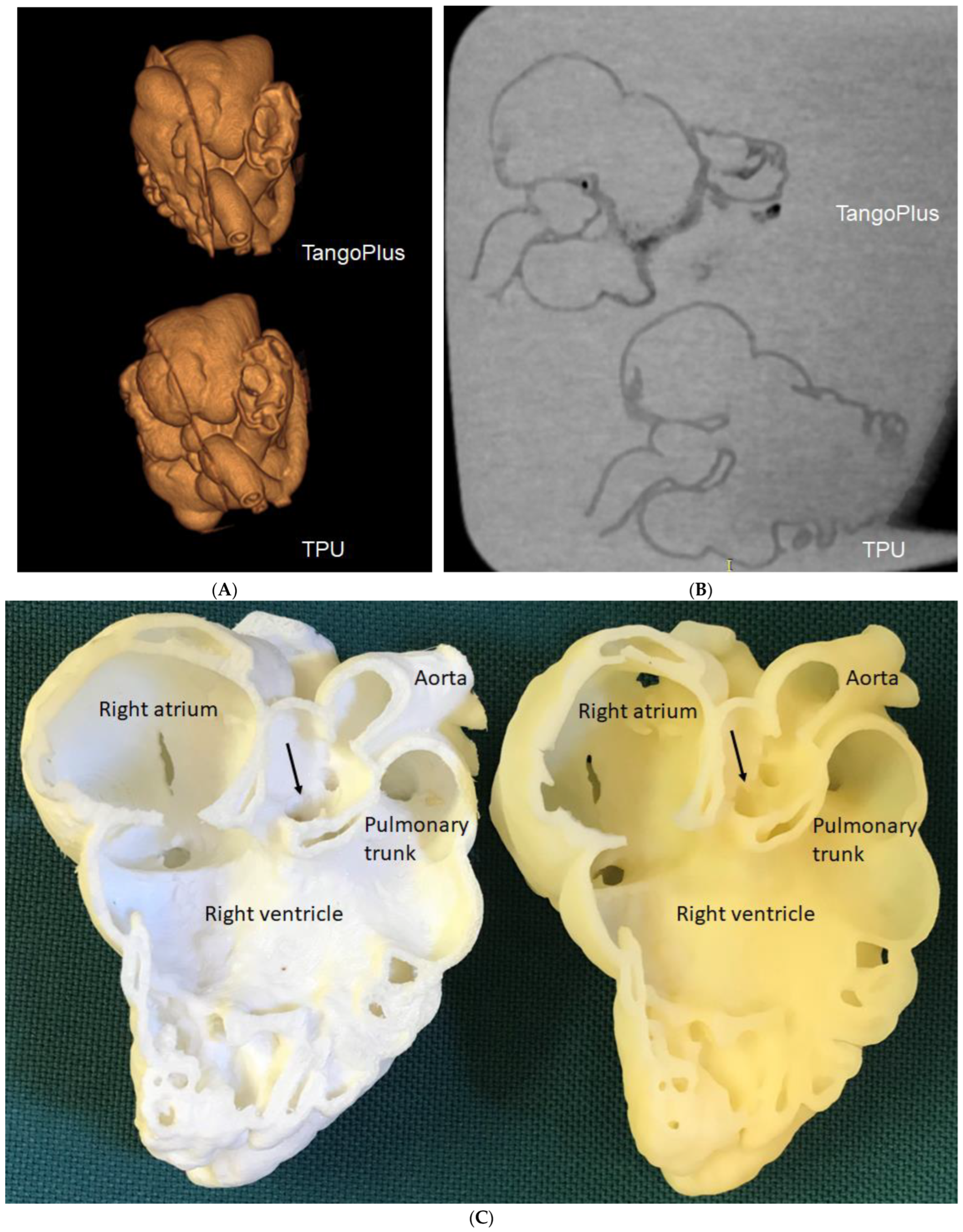 Micromachines 14 00464 g008