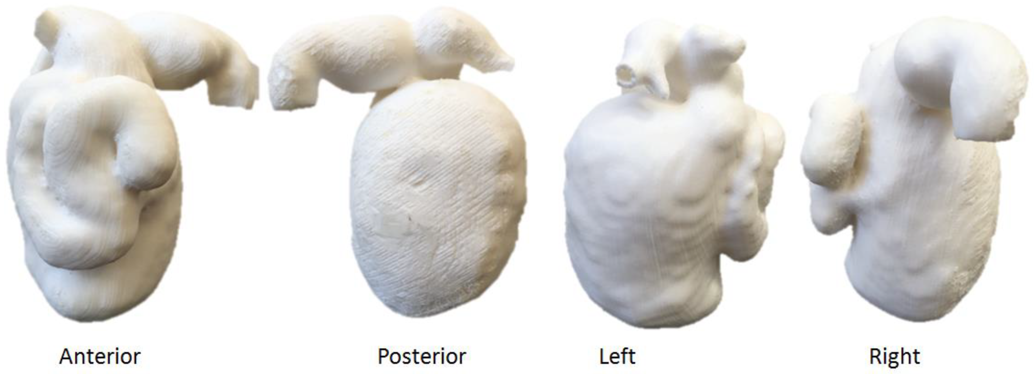 Micromachines 14 00464 g021