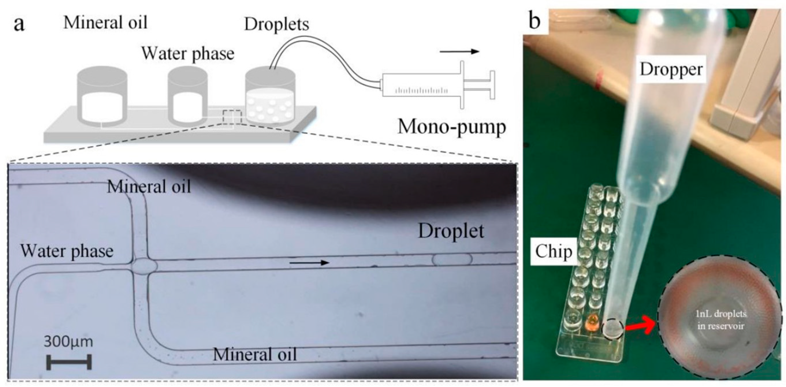 Micromachines 14 00466 g005