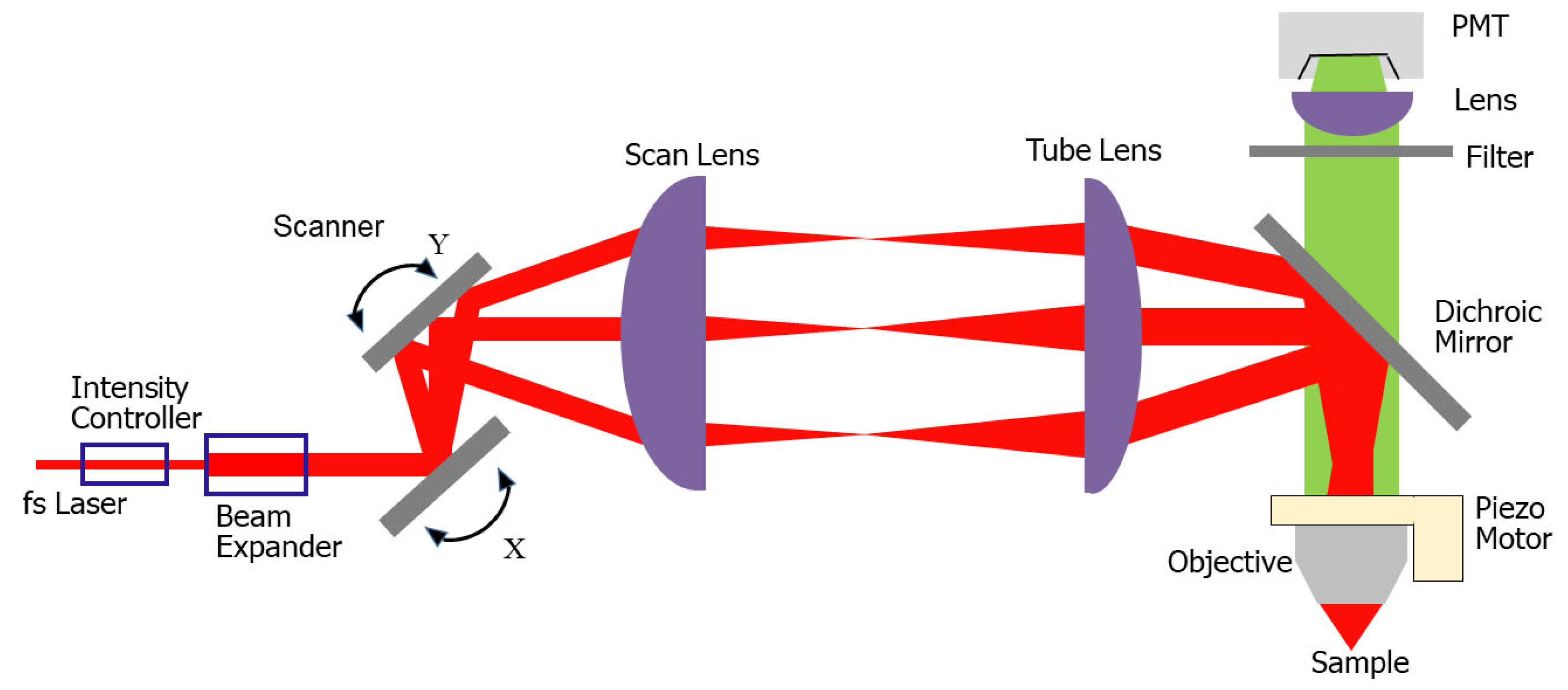 Micromachines 14 00470 g001
