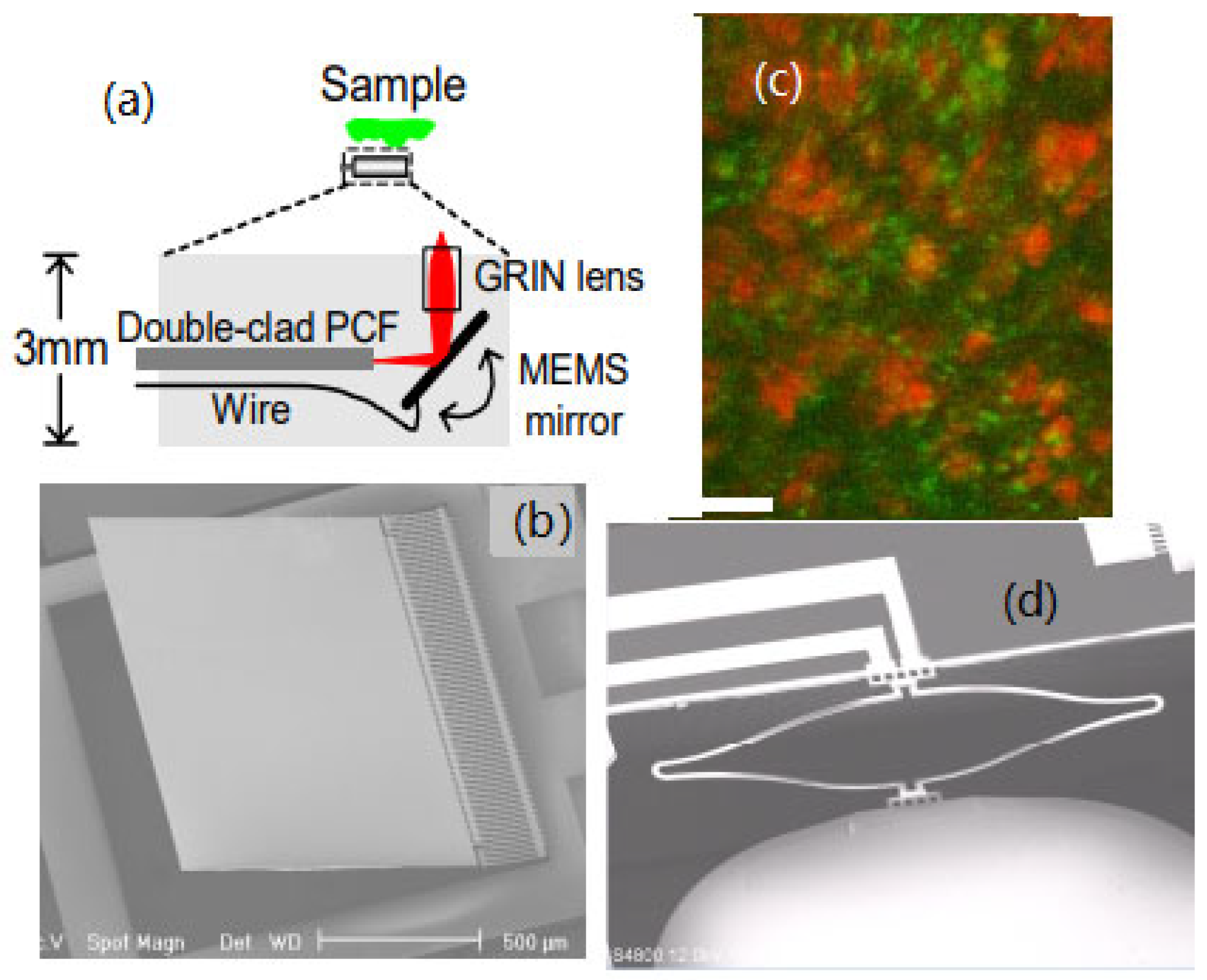 Micromachines 14 00470 g011