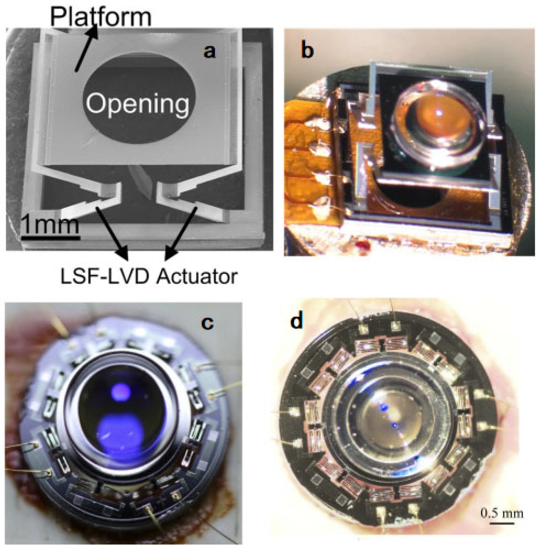 Micromachines 14 00470 g015