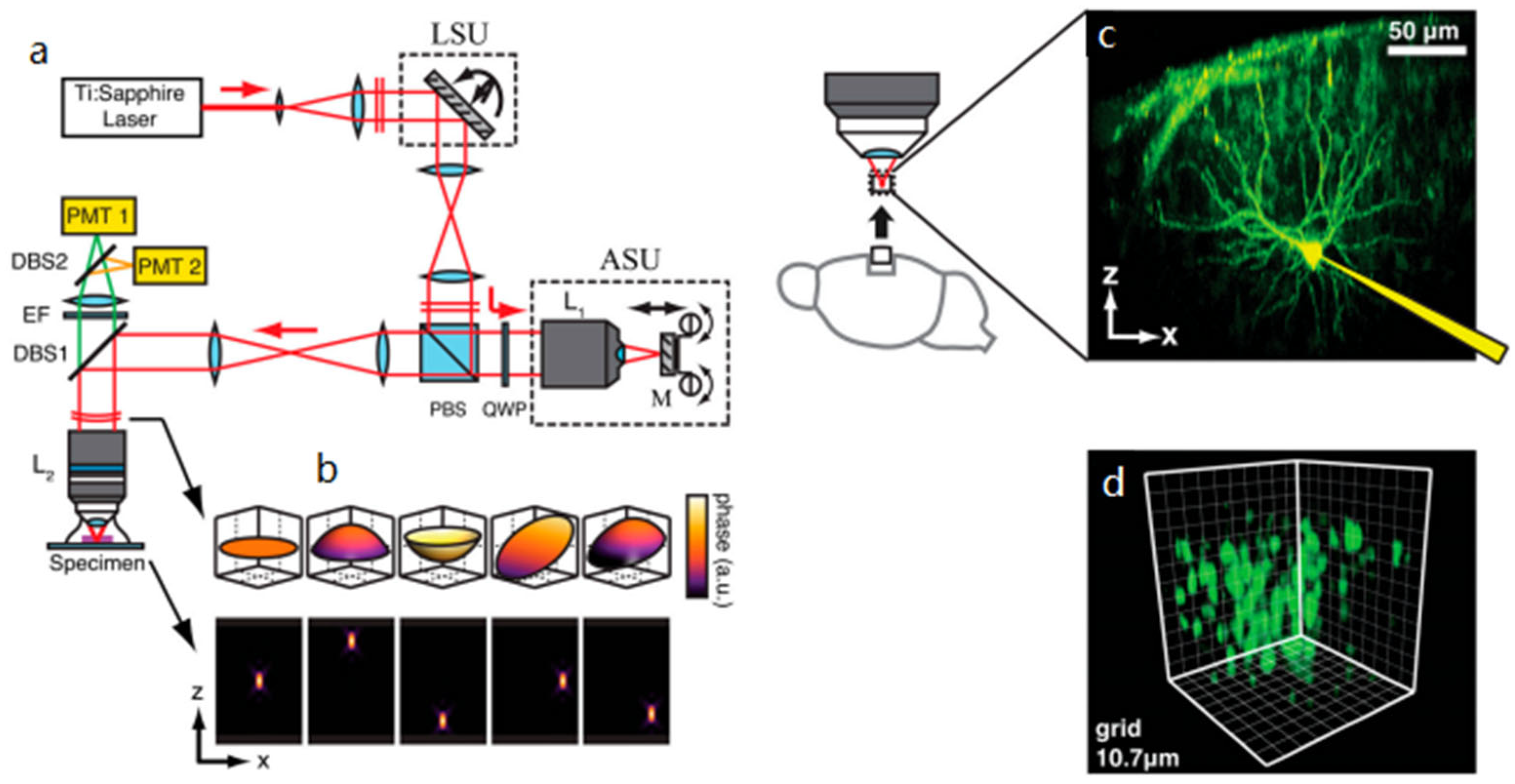 Micromachines 14 00470 g016
