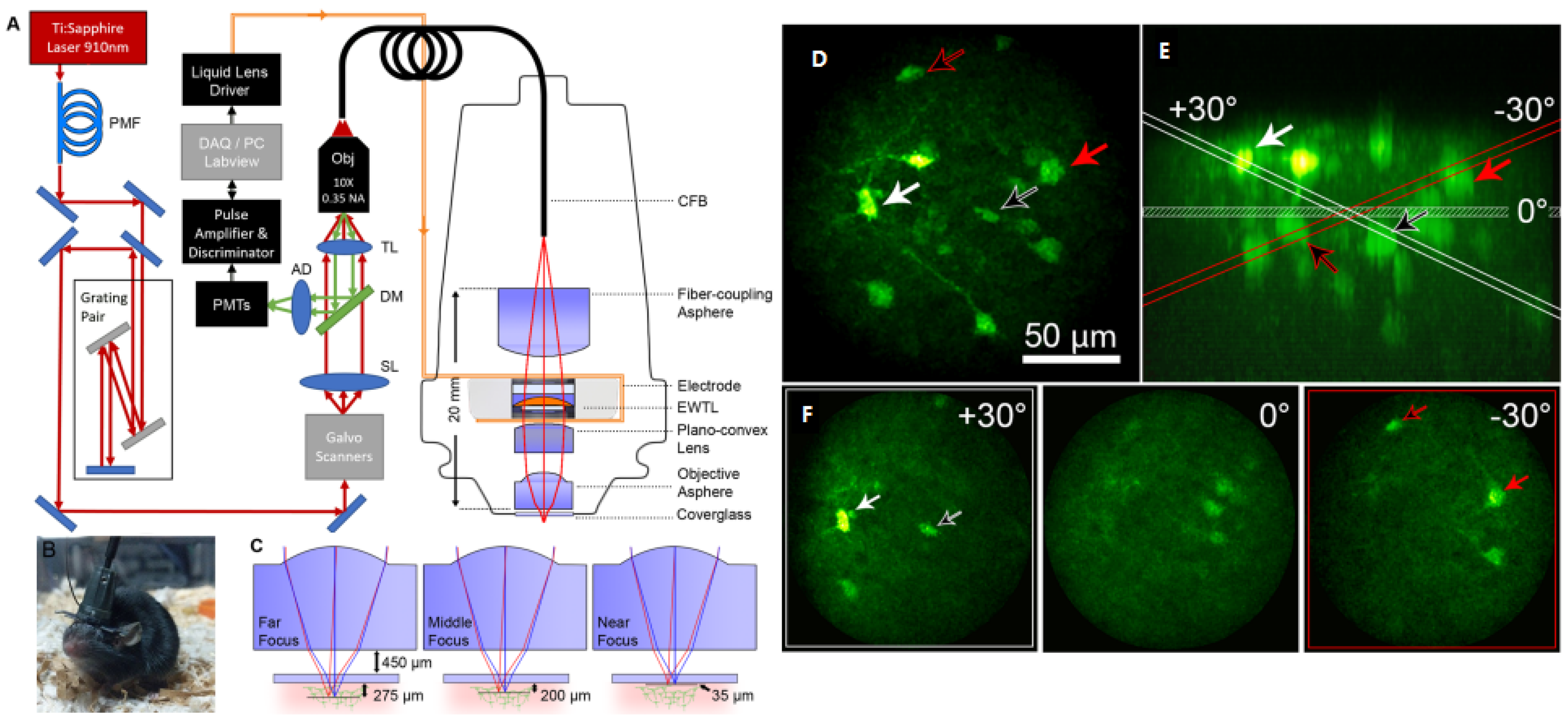 Micromachines 14 00470 g019