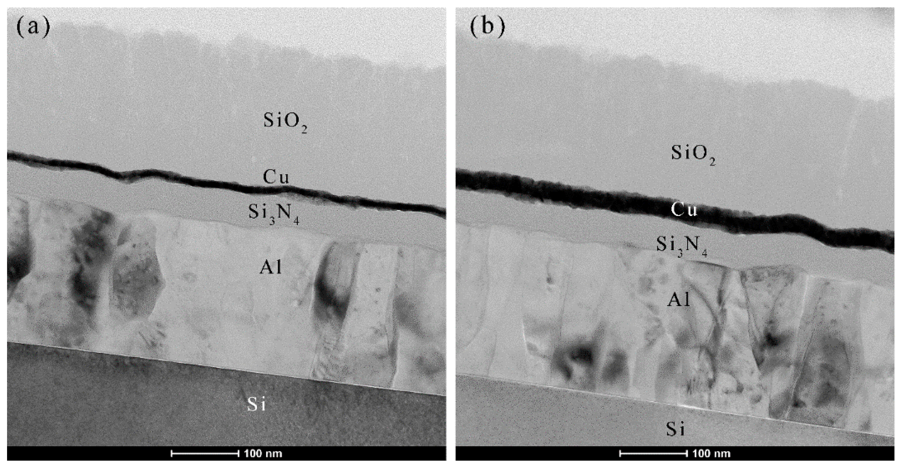 Micromachines 14 00471 g005