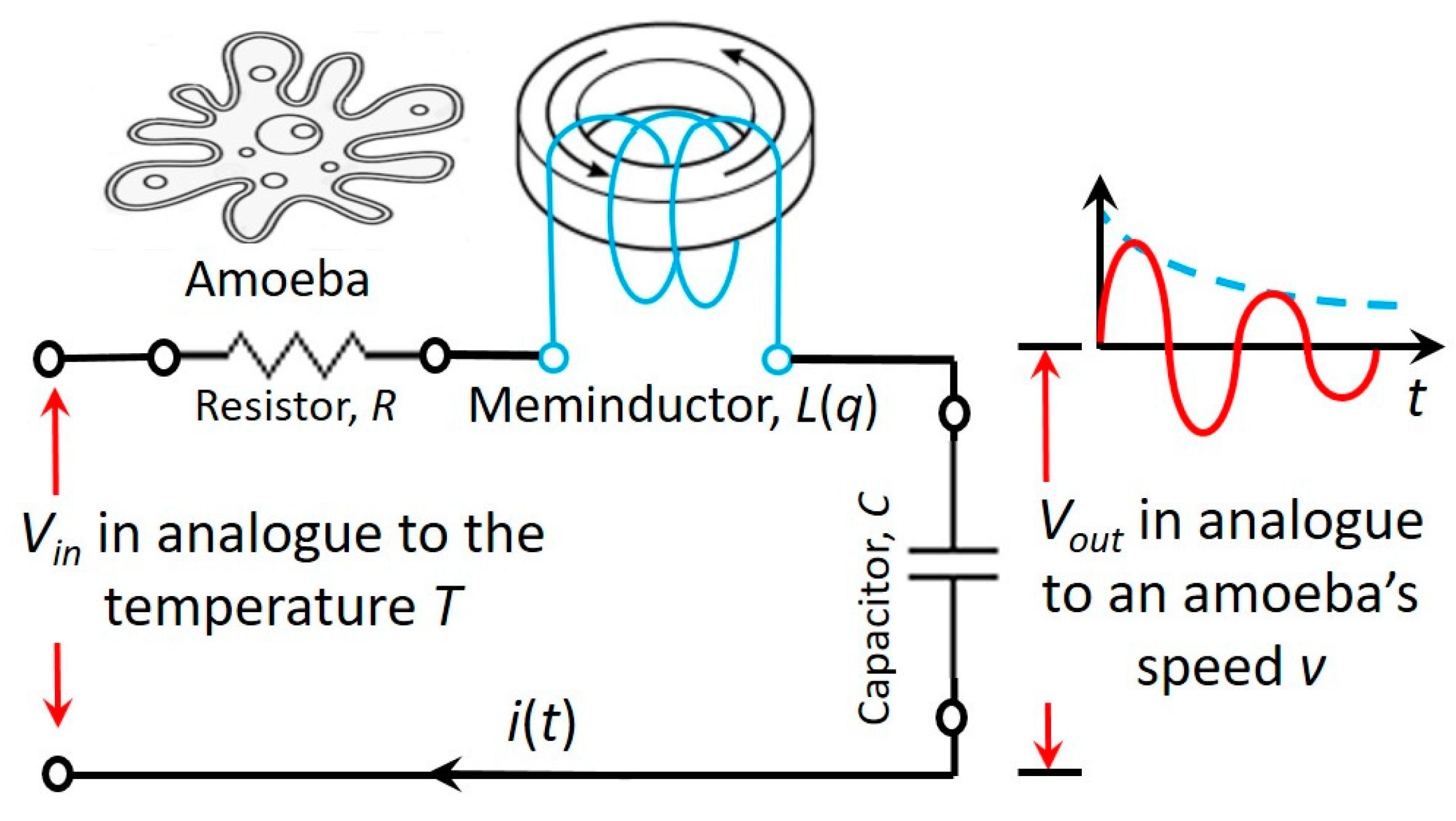 Micromachines 14 00486 g007
