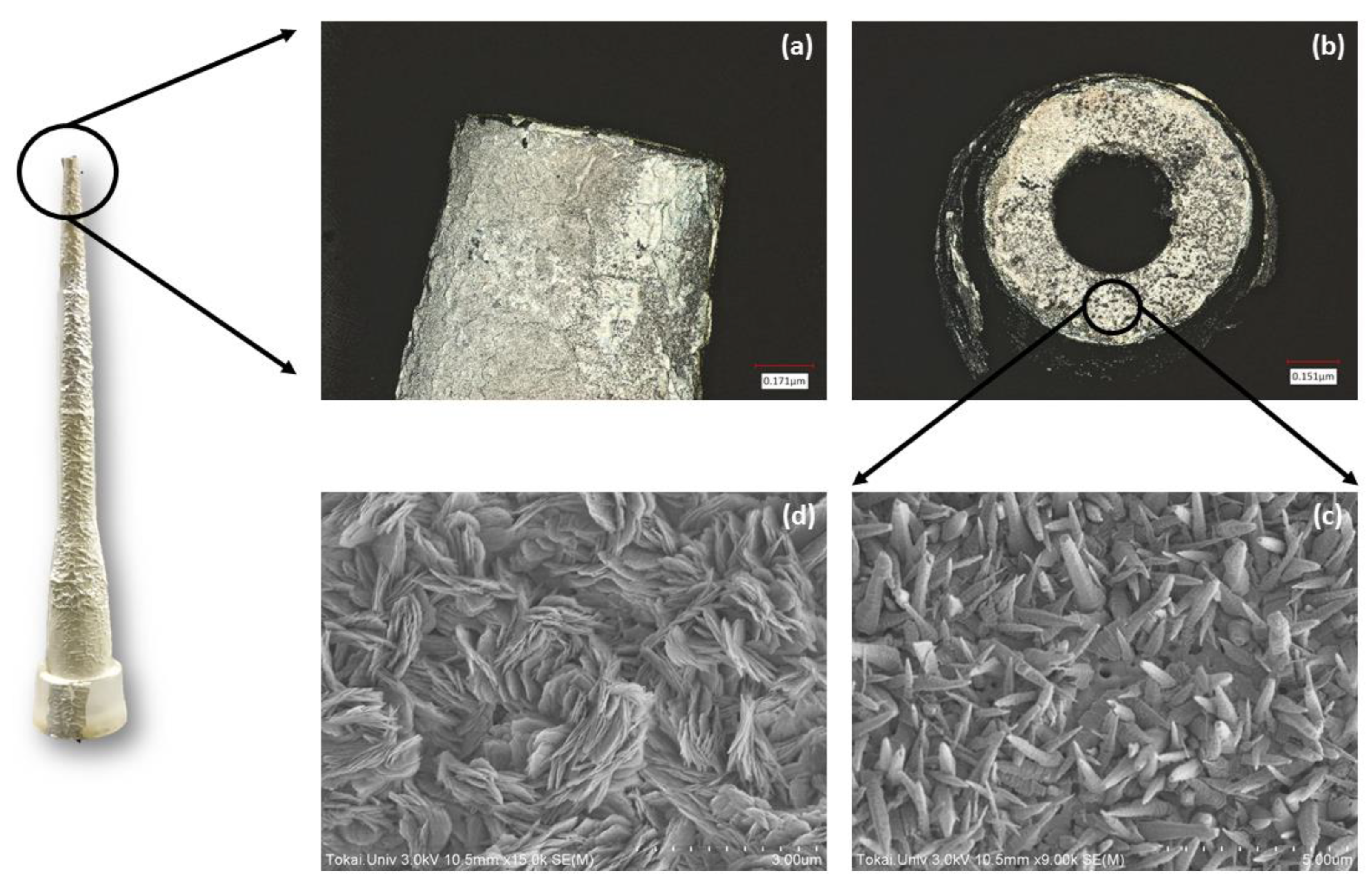 Micromachines 14 00498 g004 Micromachines 14 00498 g004