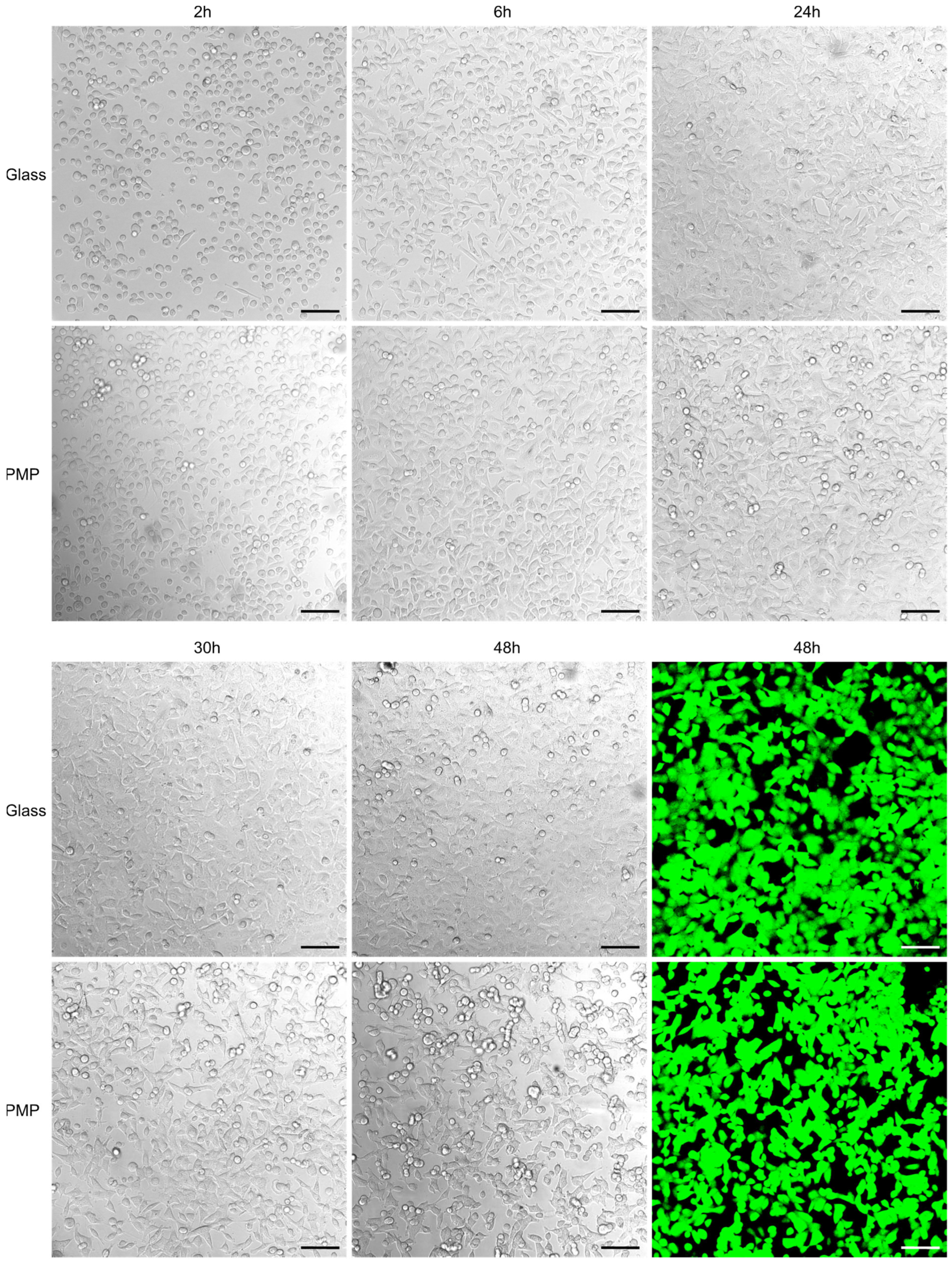 Micromachines 14 00532 g005