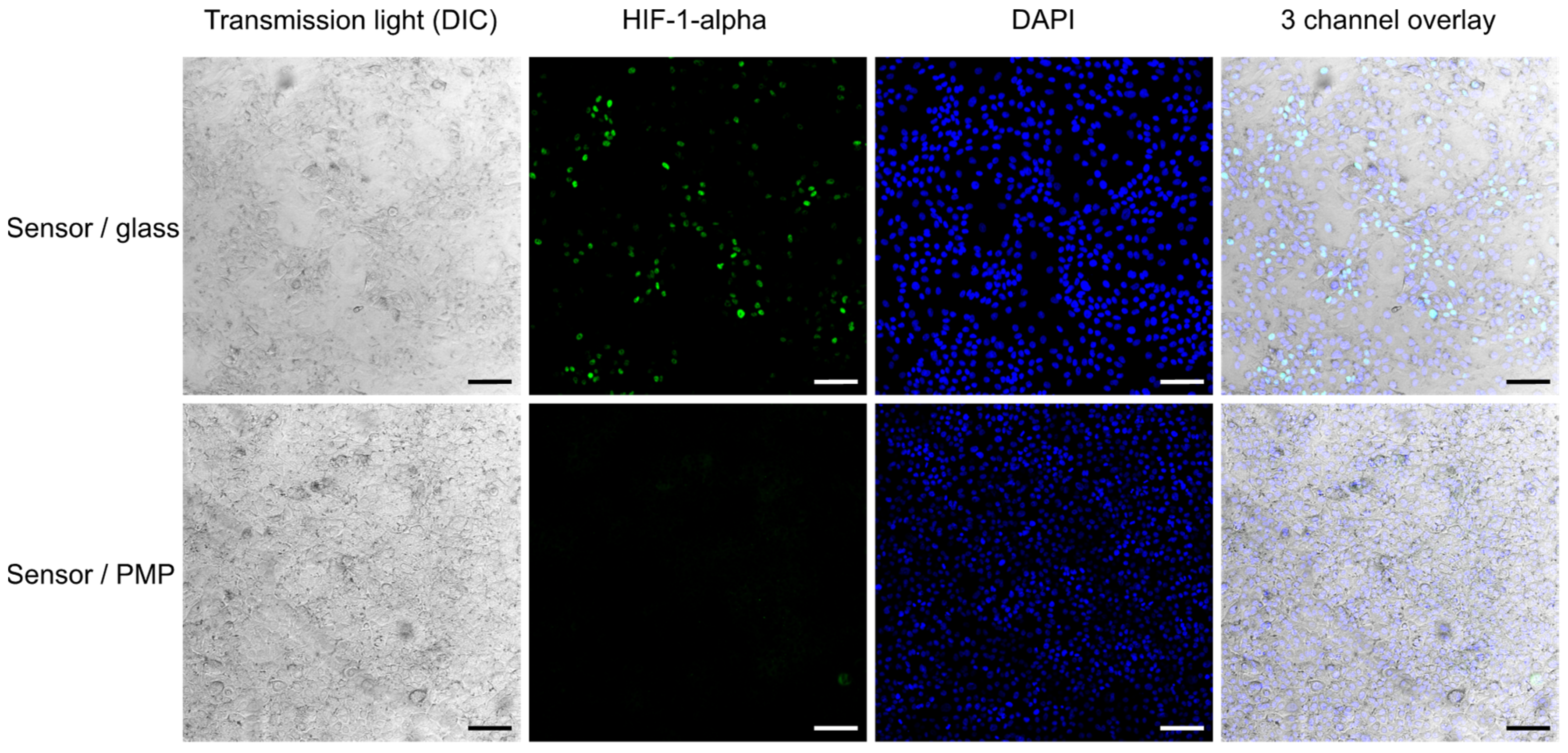 Micromachines 14 00532 g006