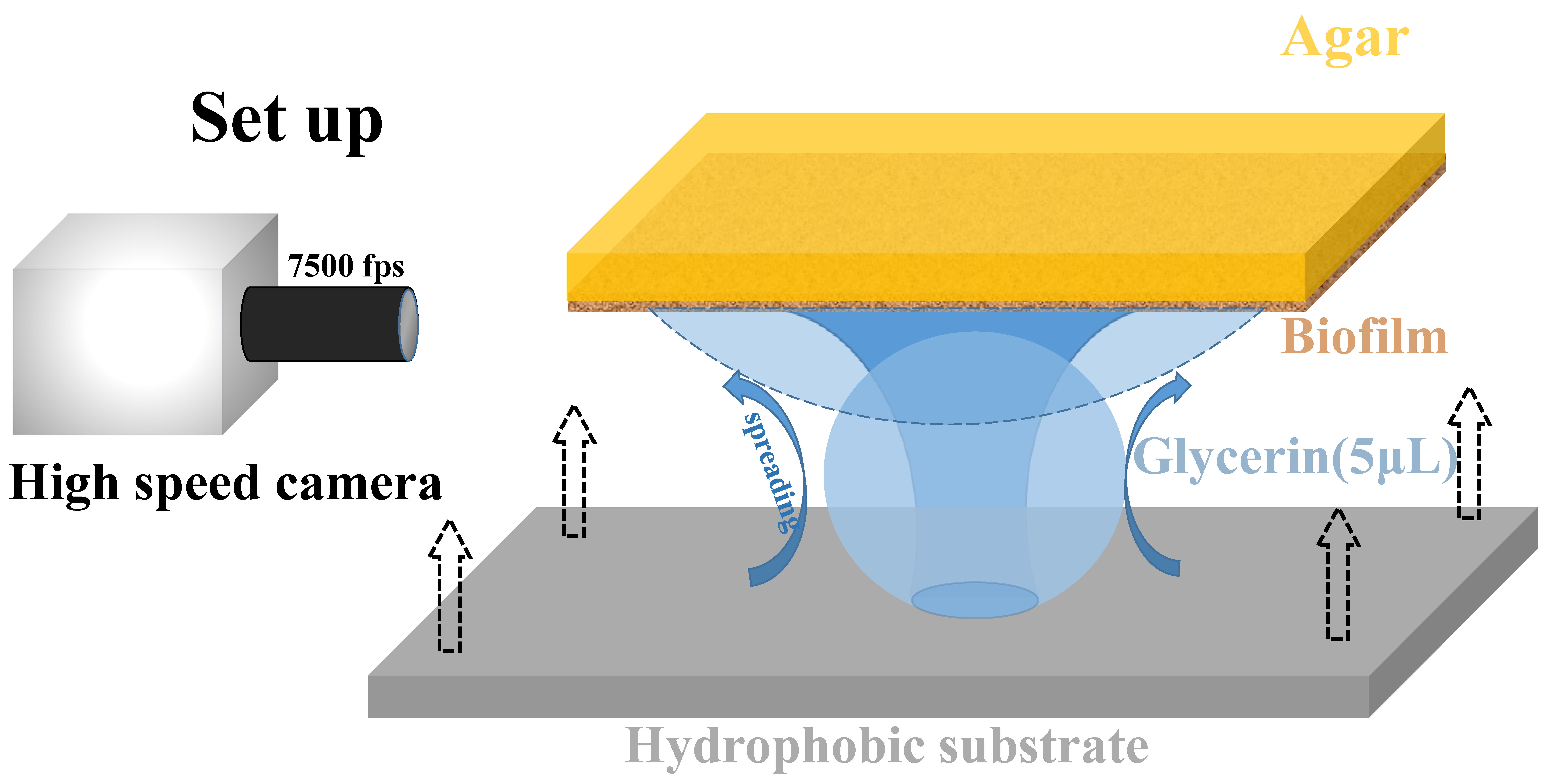 Micromachines 14 00599 g001