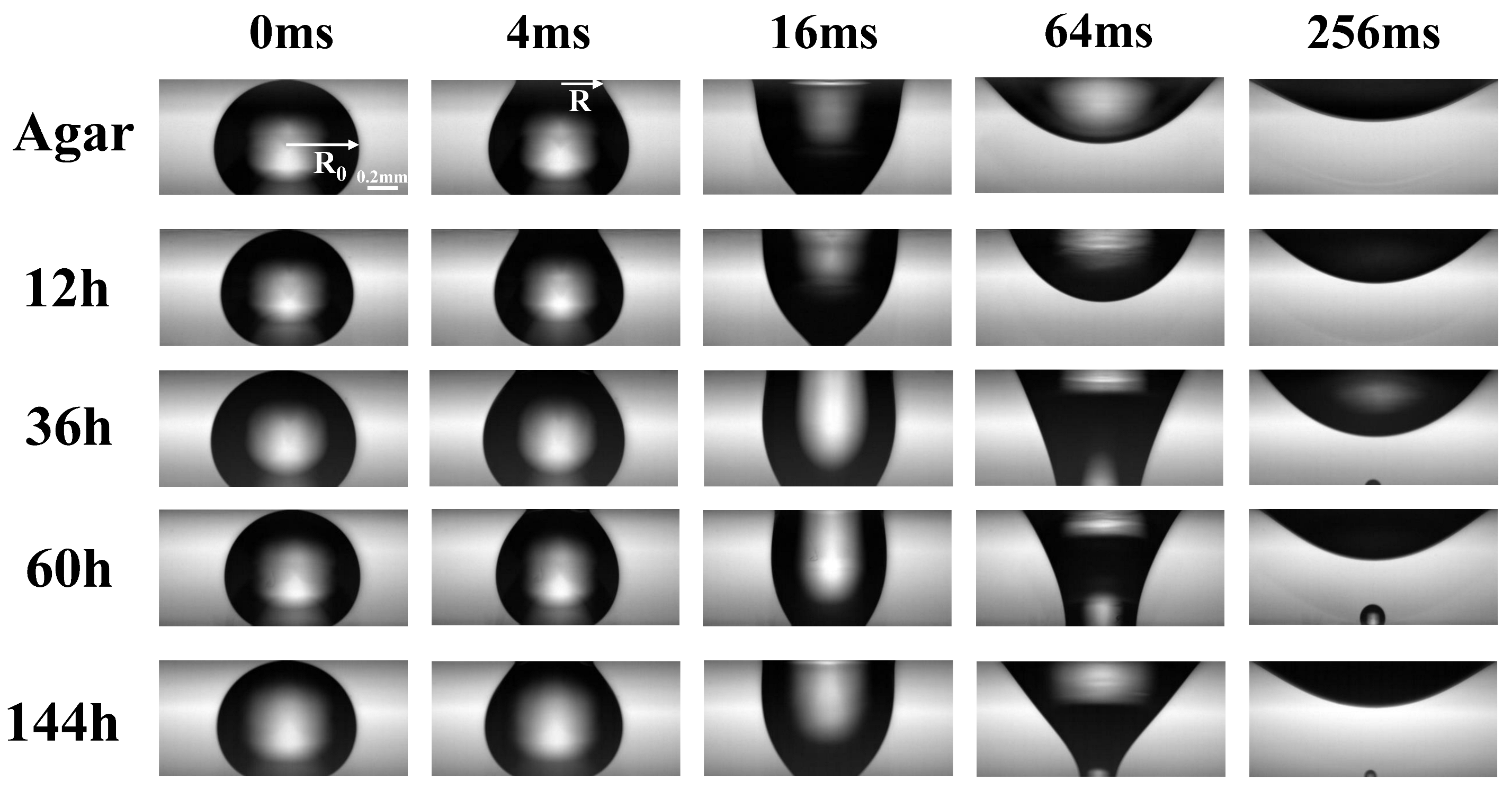 Micromachines 14 00599 g002