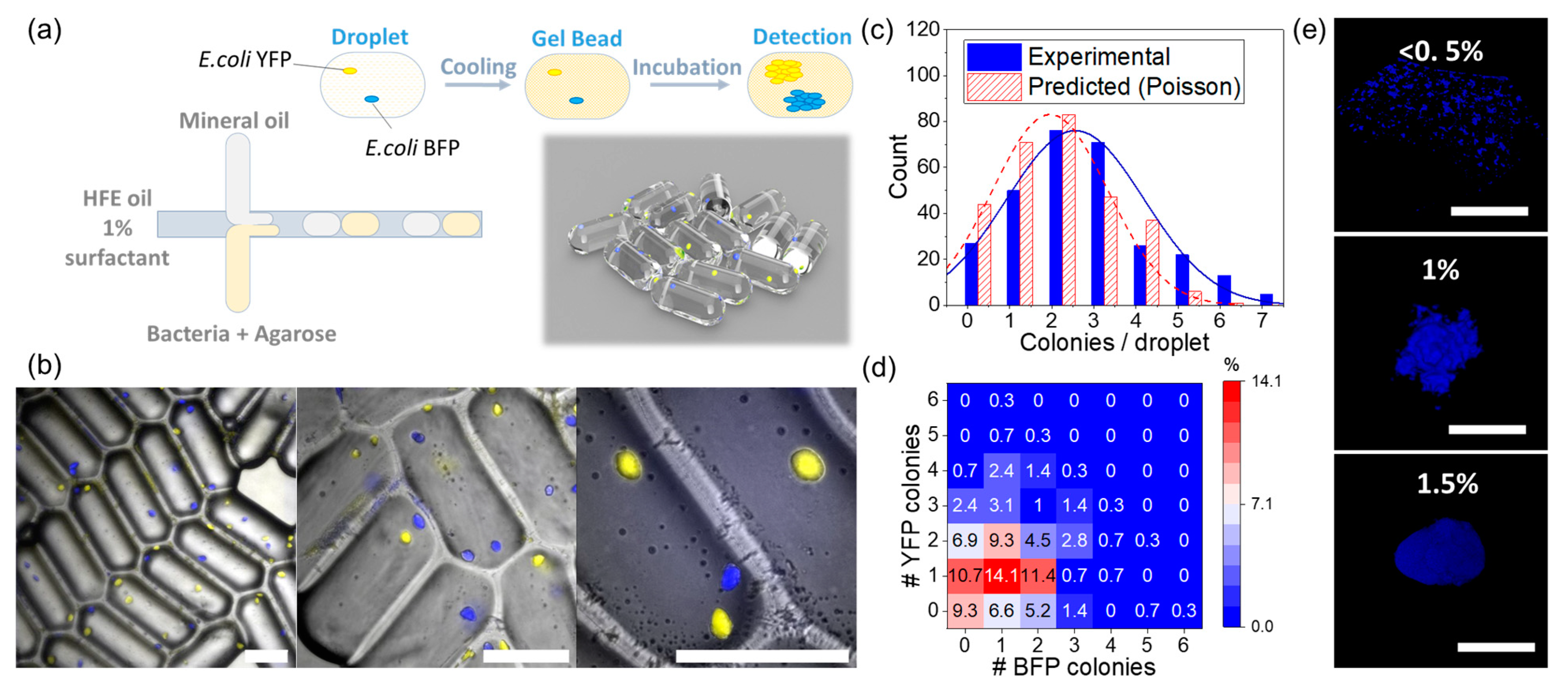 Micromachines 14 00645 g001