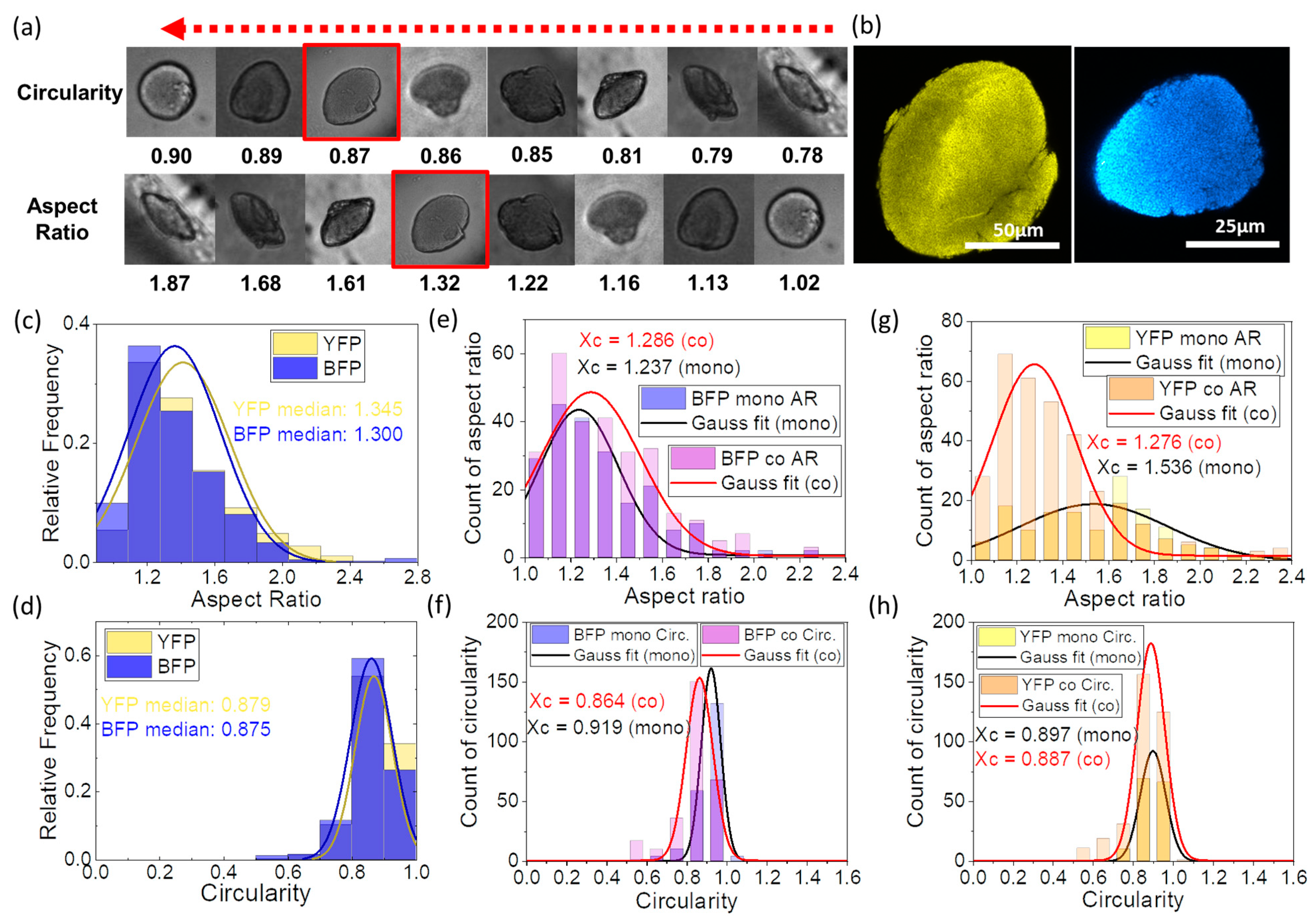 Micromachines 14 00645 g002