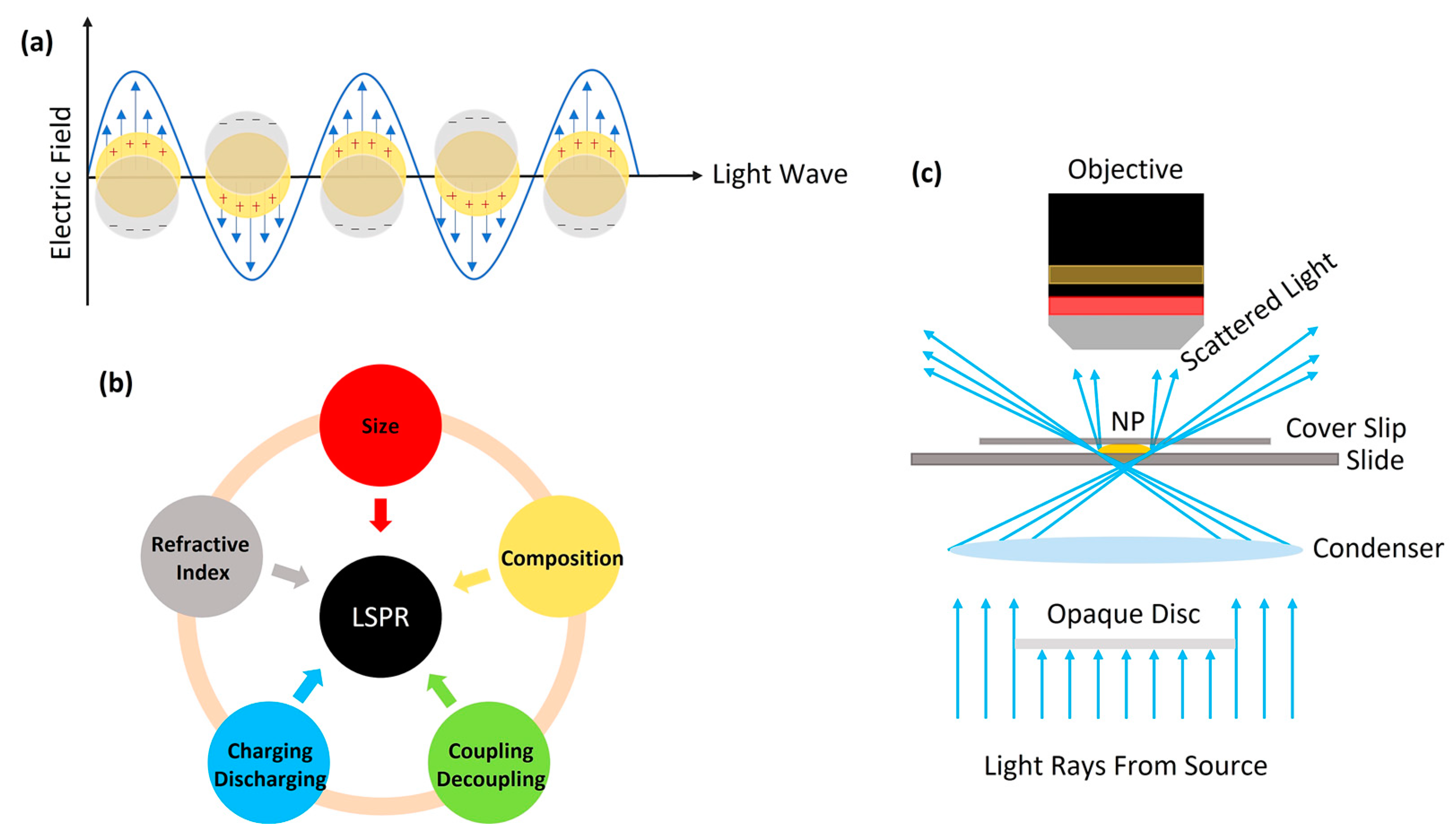 Micromachines 14 00667 g007