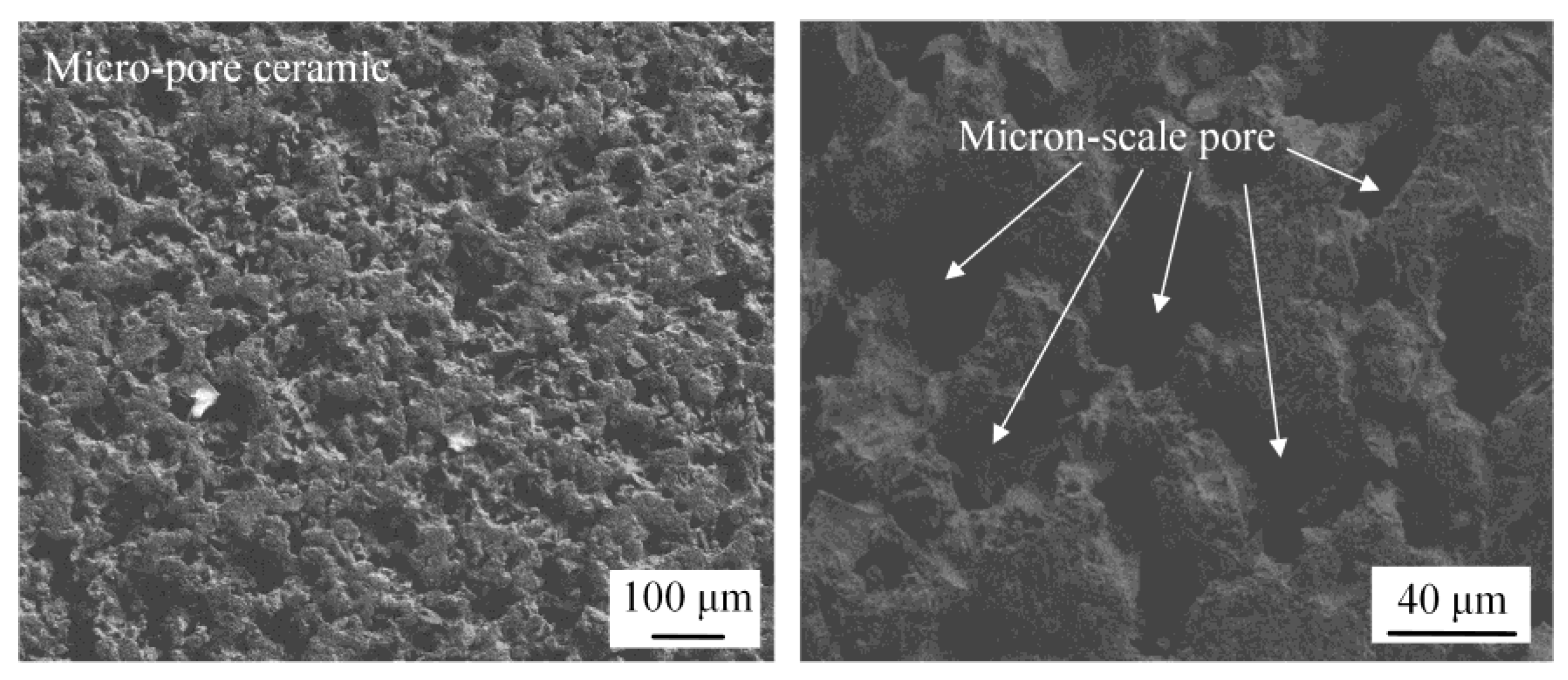 Micromachines 14 00676 g006