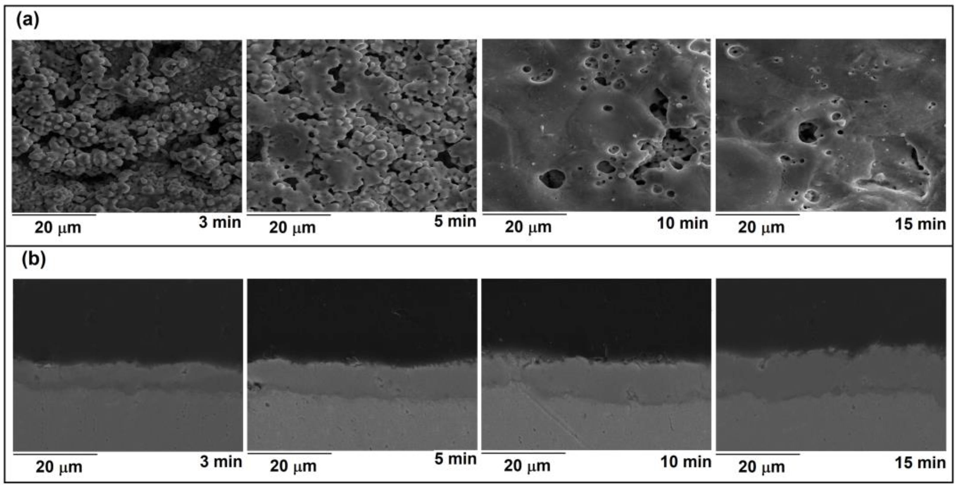 Micromachines 14 00701 g004