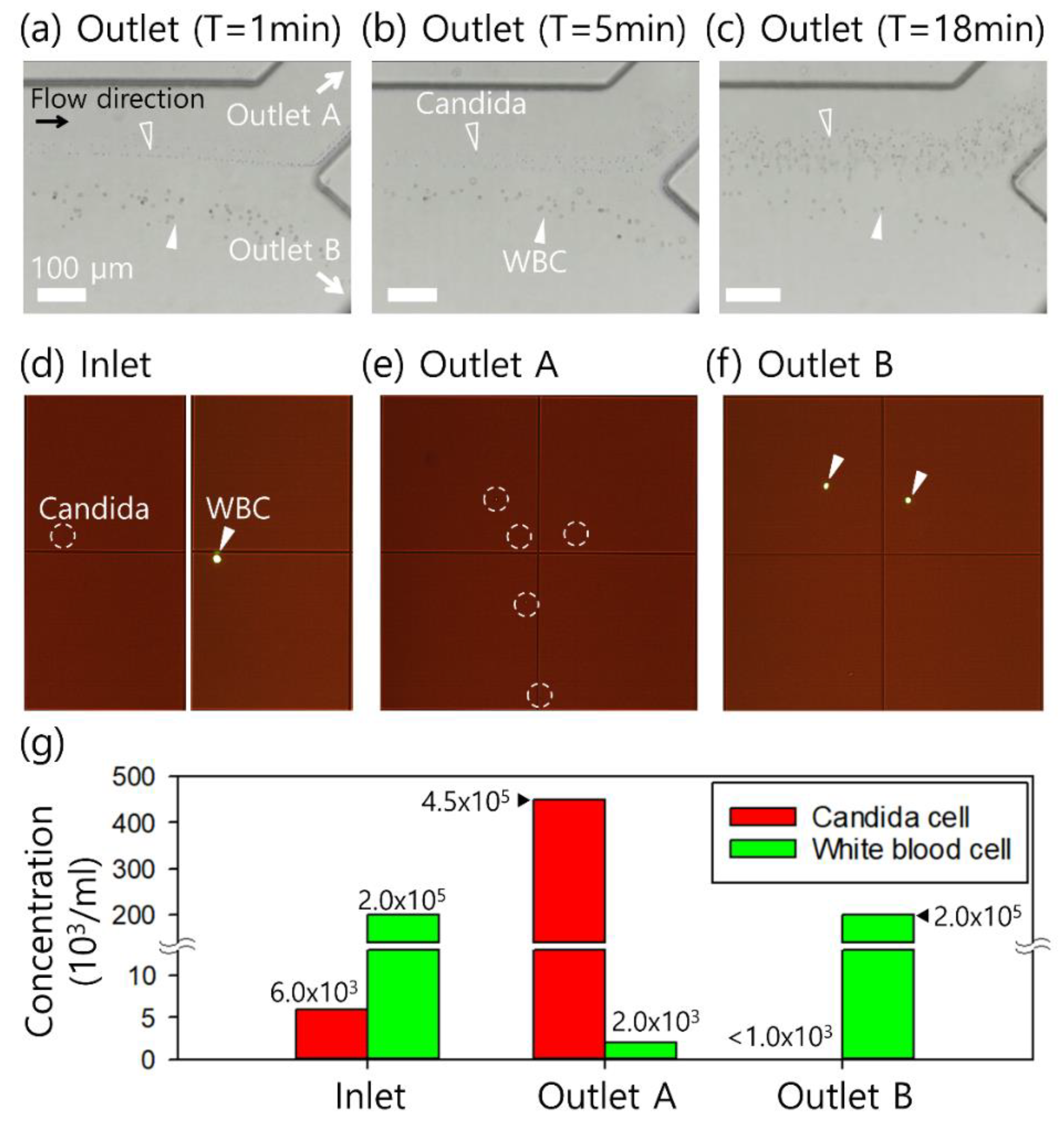 Micromachines 14 00712 g003 Micromachines 14 00712 g003