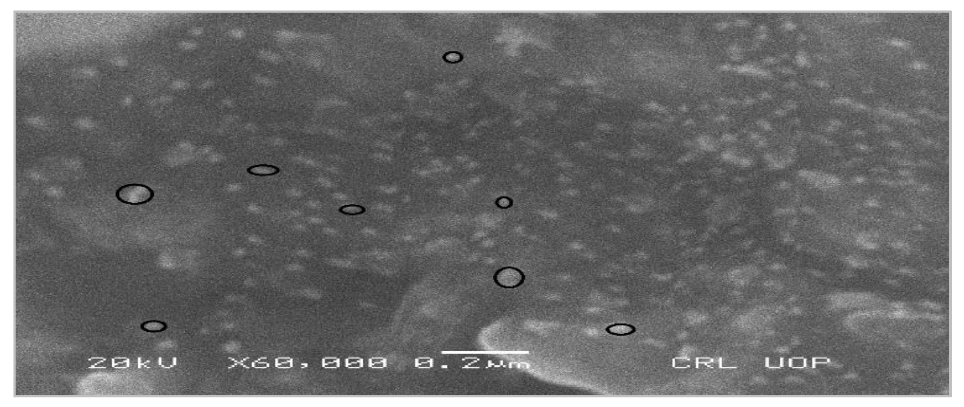 Micromachines 14 00736 g001