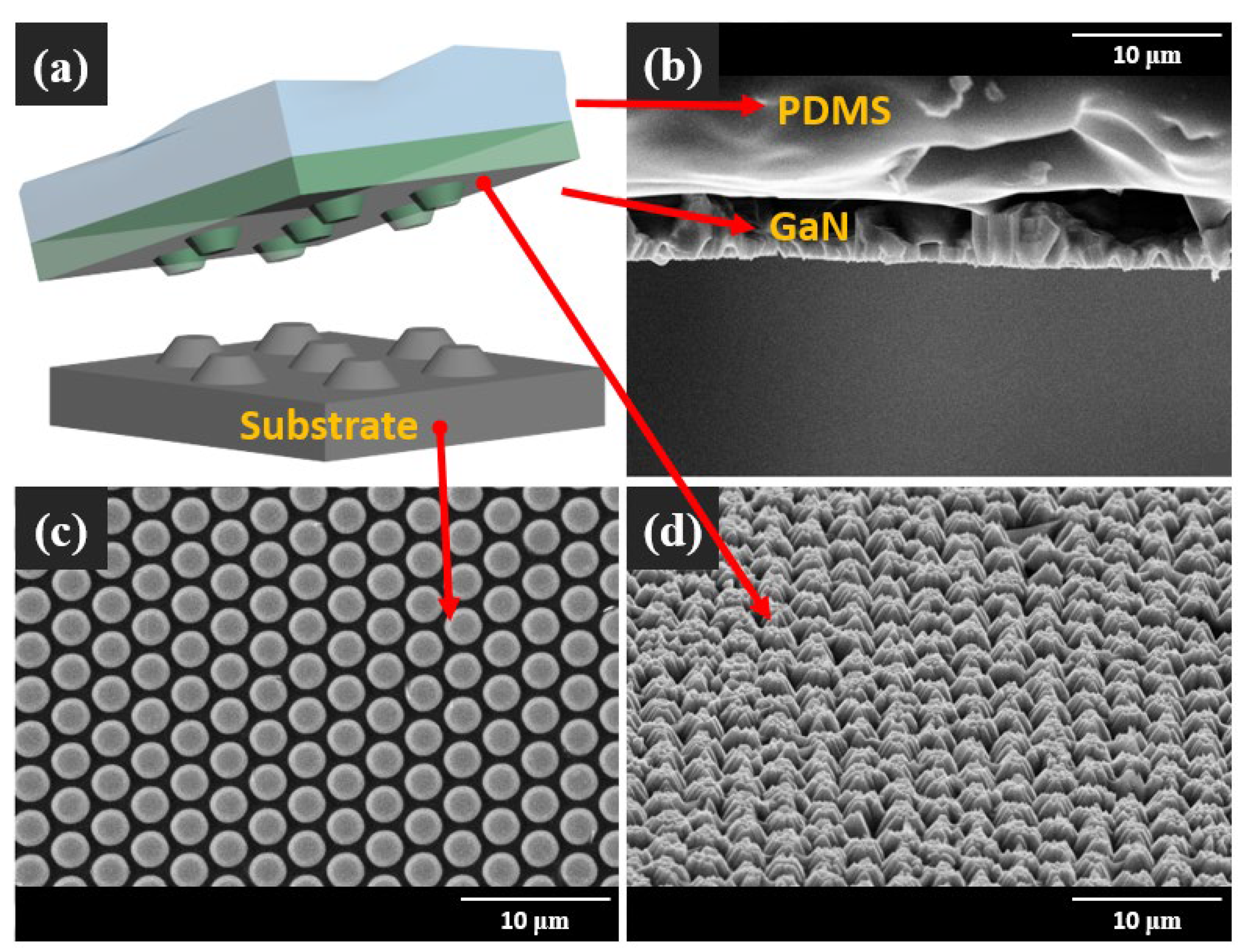 Micromachines 14 00753 g005