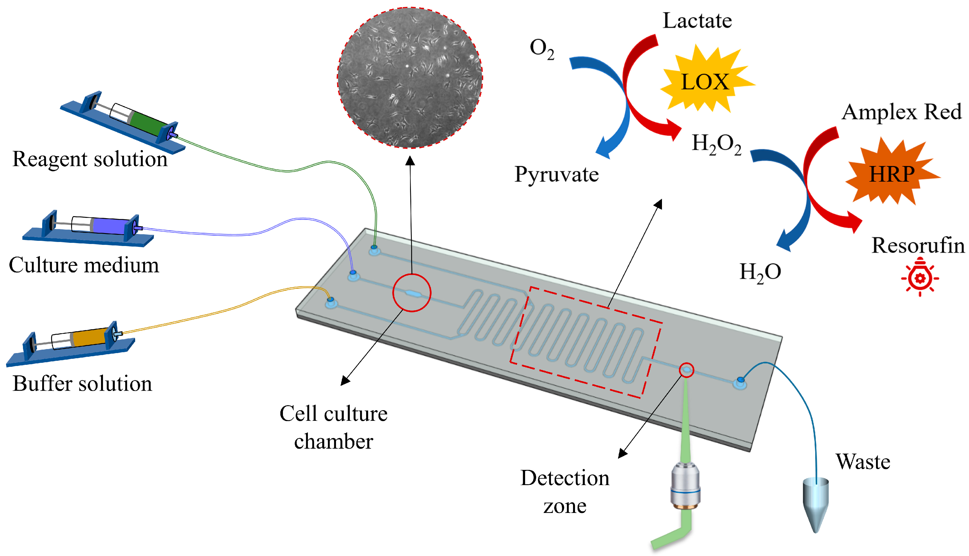 Micromachines 14 00770 g001