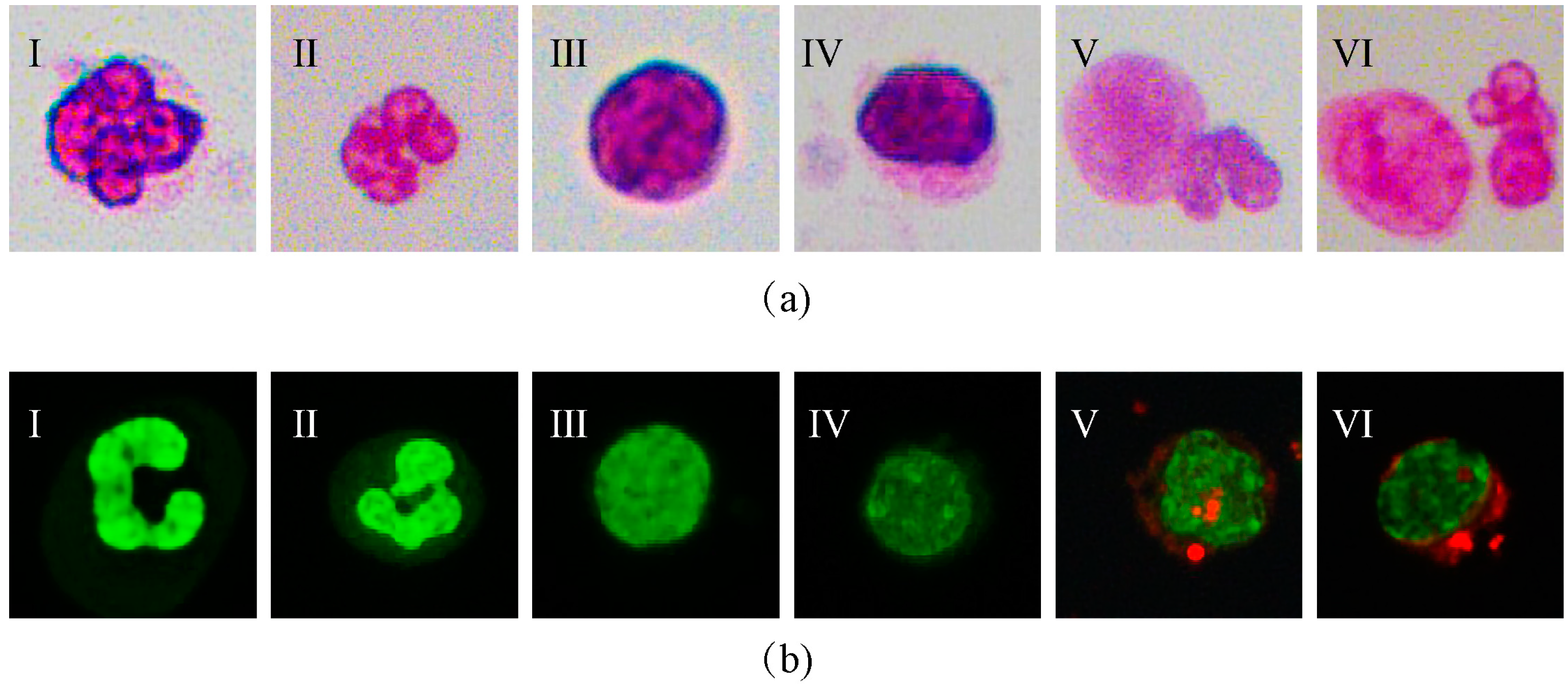 Micromachines 14 00771 g001 Micromachines 14 00771 g001