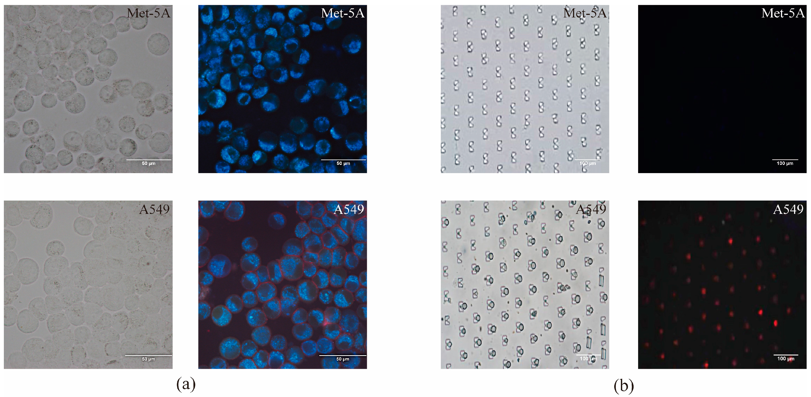 Micromachines 14 00771 g004 Micromachines 14 00771 g004