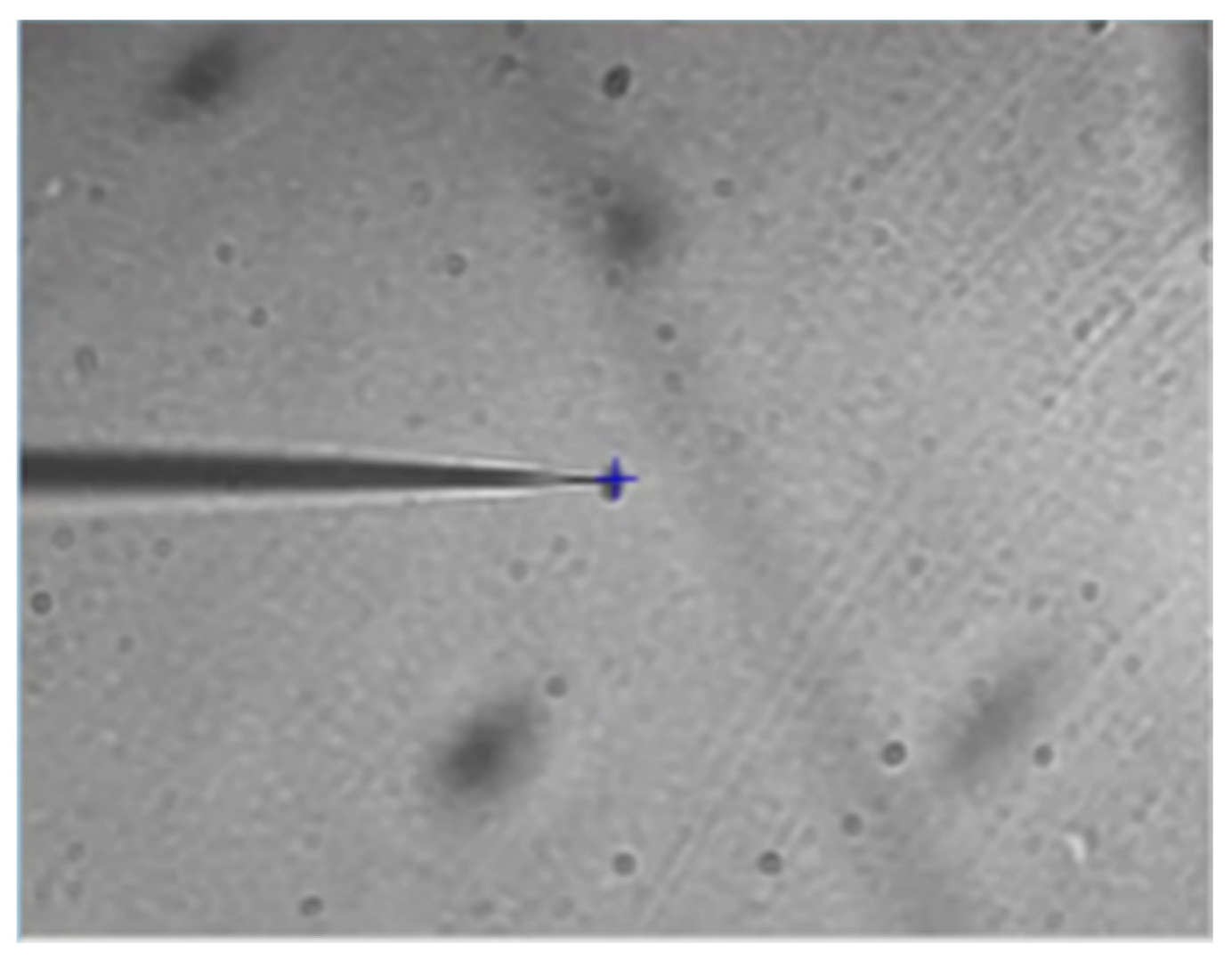Micromachines 14 00779 g012