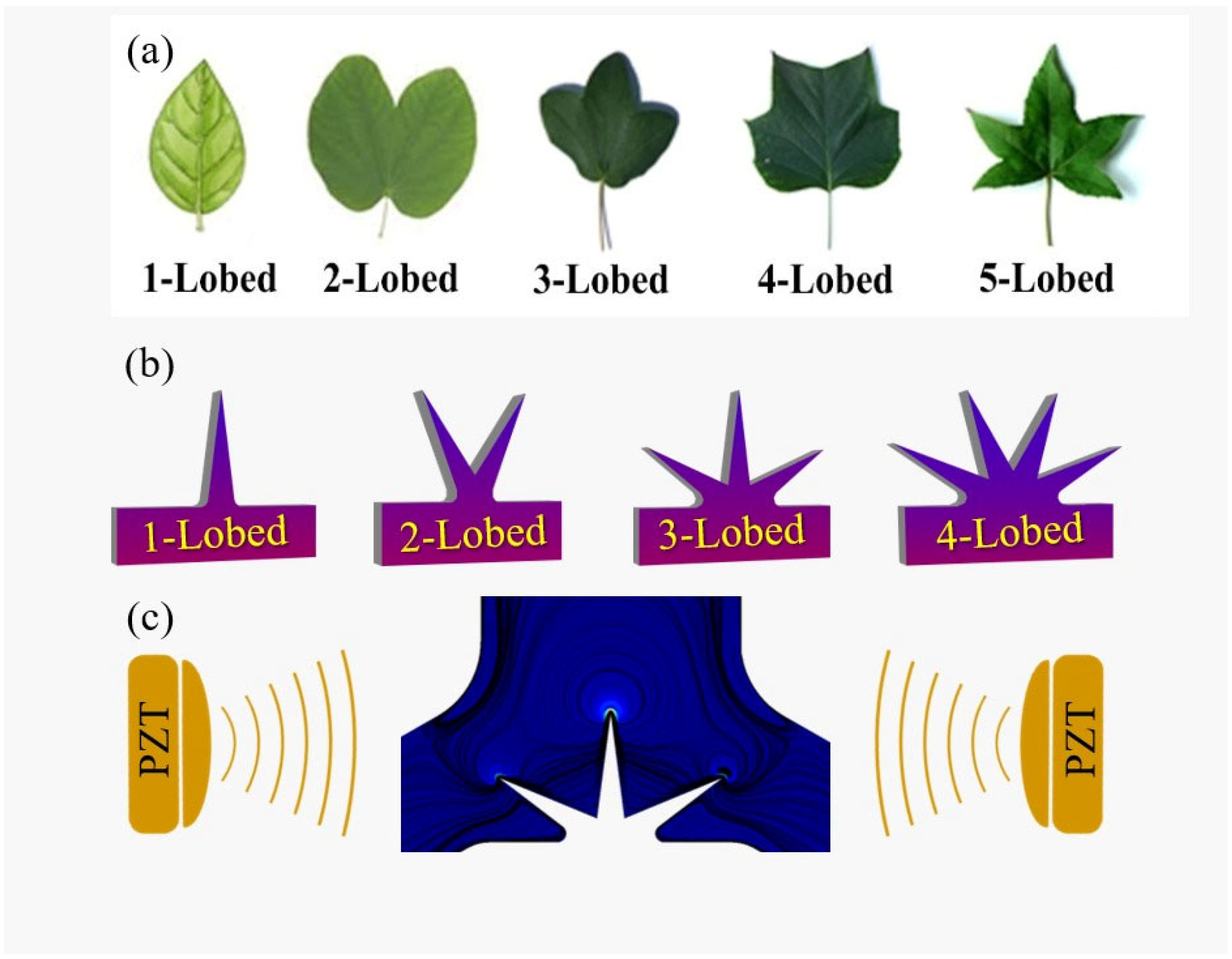 Micromachines 14 00795 g001