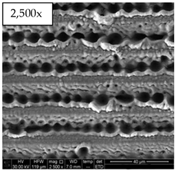 Micromachines 14 00863 i005 Micromachines 14 00863 i005