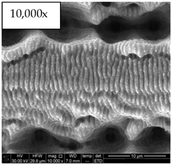 Micromachines 14 00863 i008 Micromachines 14 00863 i008