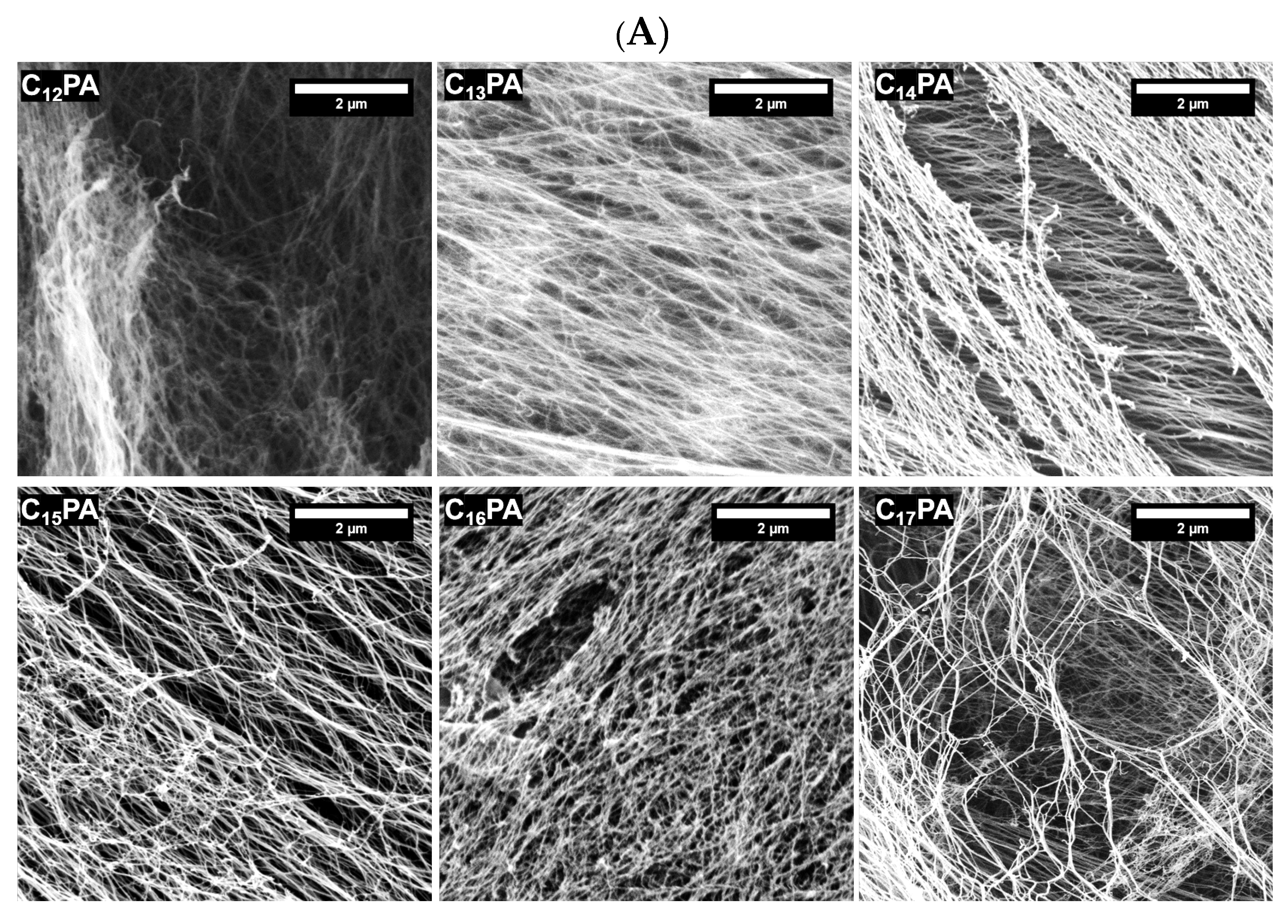 Micromachines 14 00883 g003a