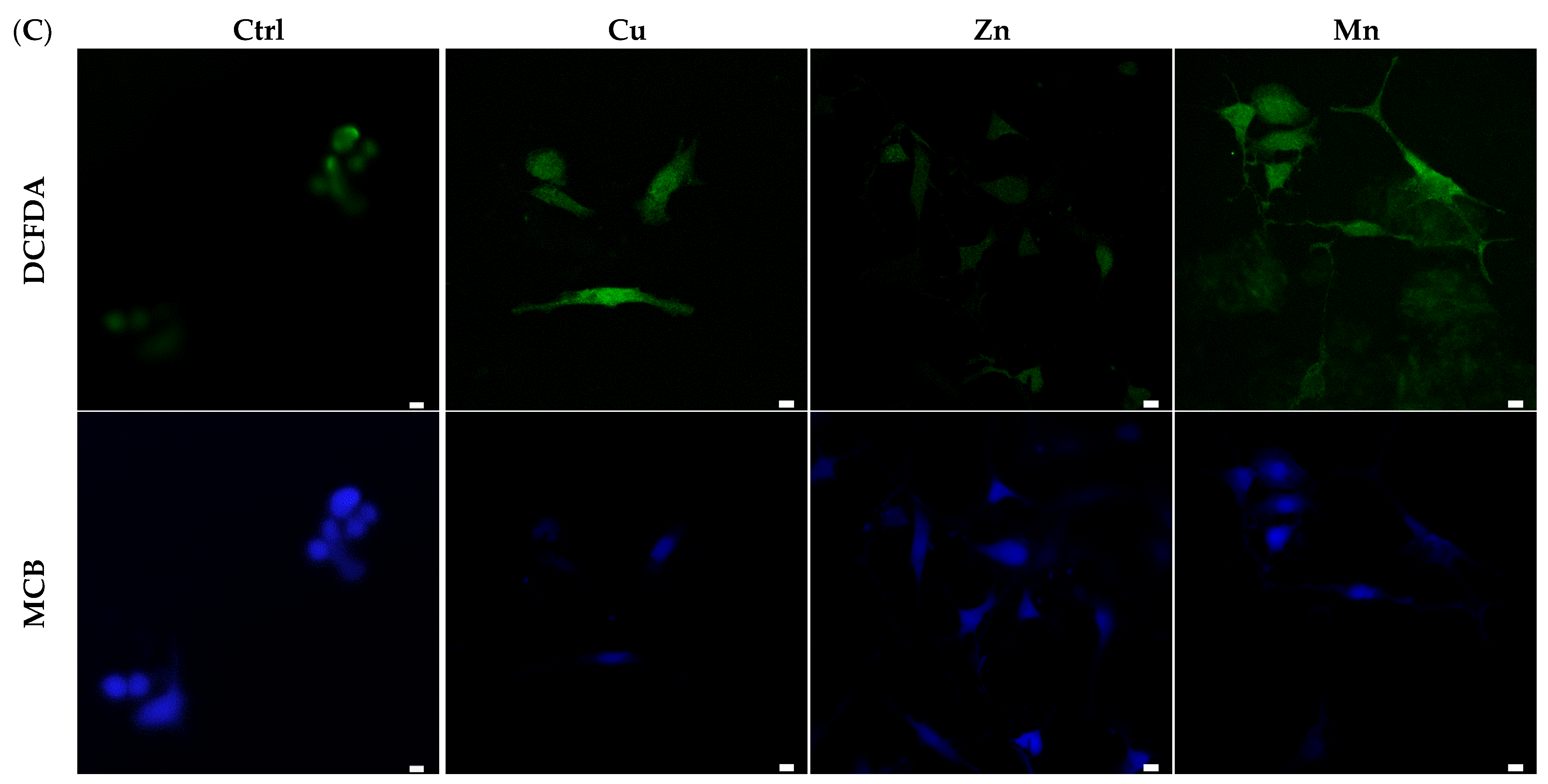 Micromachines 14 00883 g007b