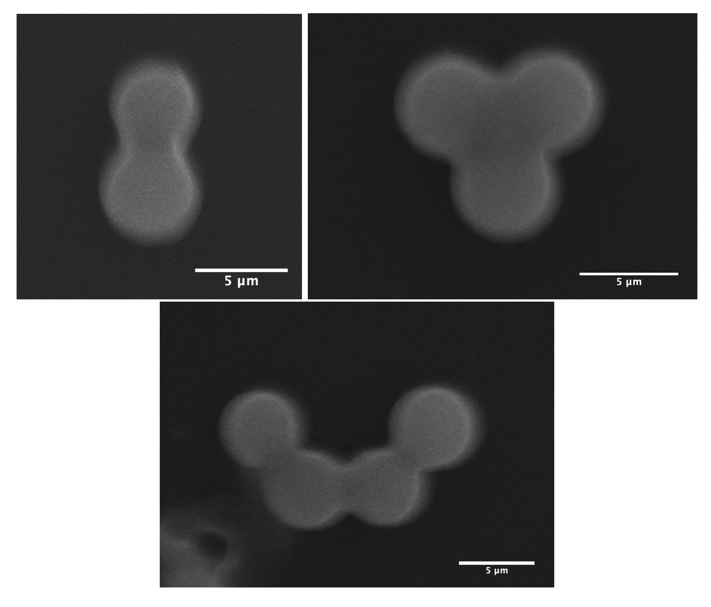 Micromachines 14 00936 g004