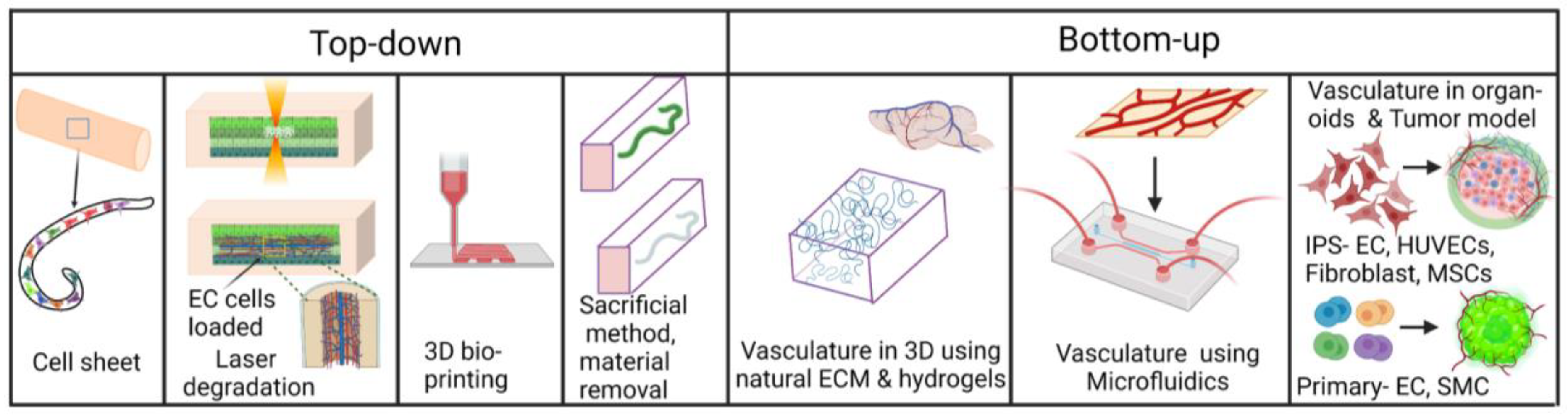 Micromachines 14 00978 g001