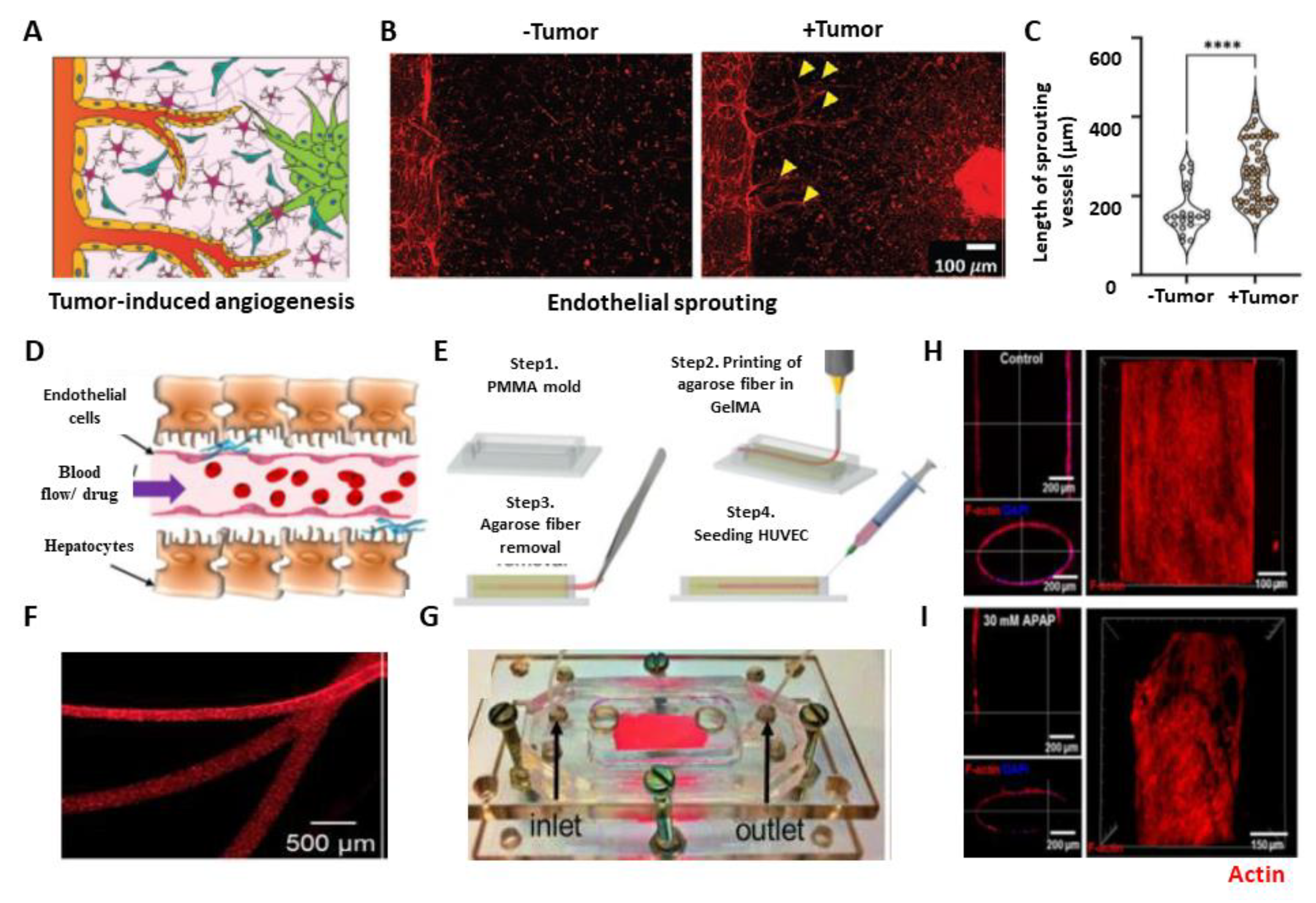 Micromachines 14 00978 g003