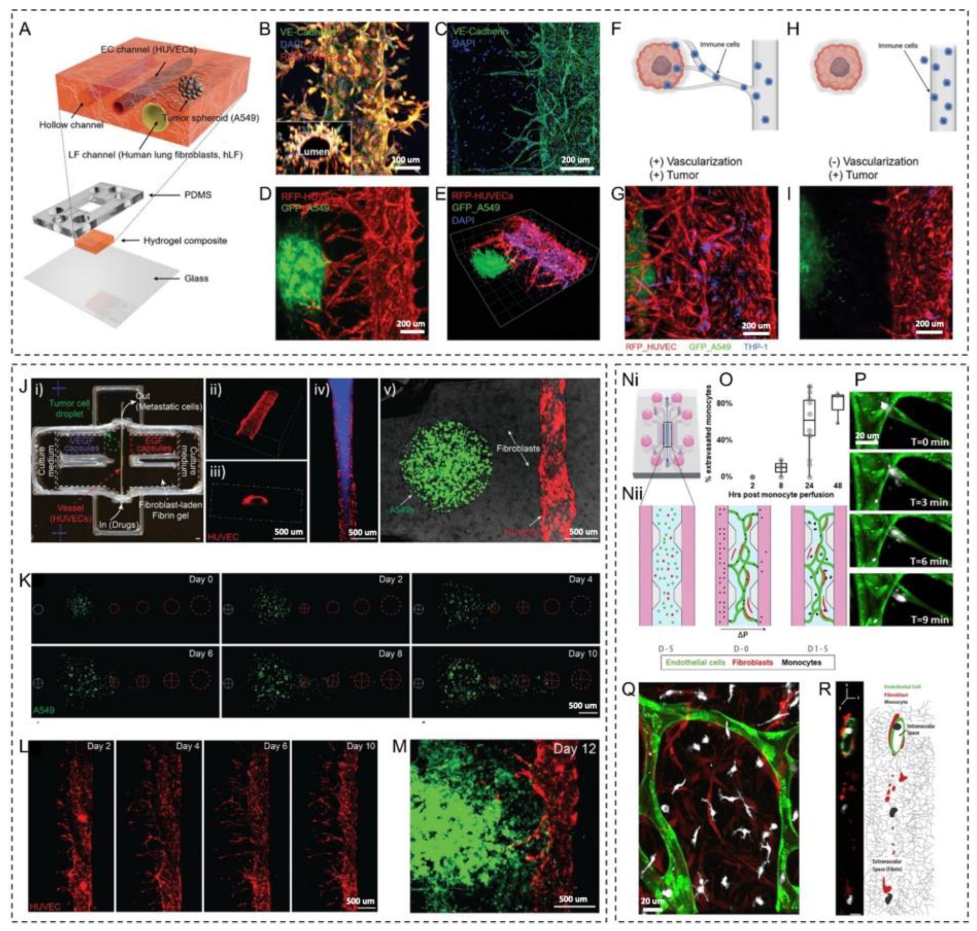 Micromachines 14 00978 g004