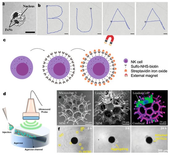 Micromachines 14 00983 g002