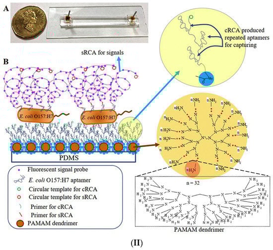 Micromachines 14 00986 g011b