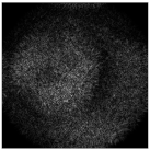 Micromachines 14 00989 i041