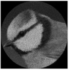 Micromachines 14 00989 i045