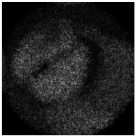 Micromachines 14 00989 i048