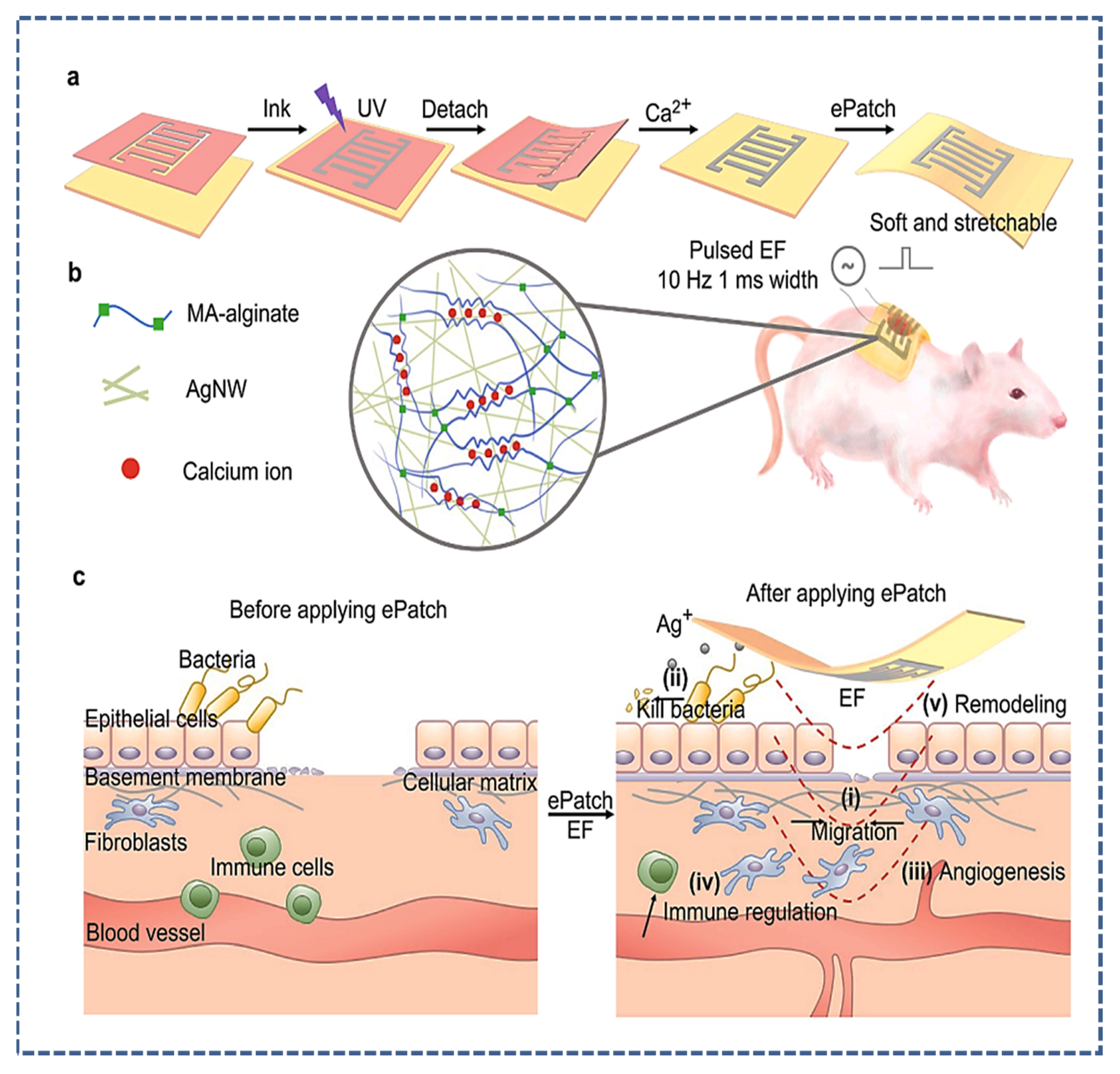 Micromachines 14 01005 g009 Micromachines 14 01005 g009