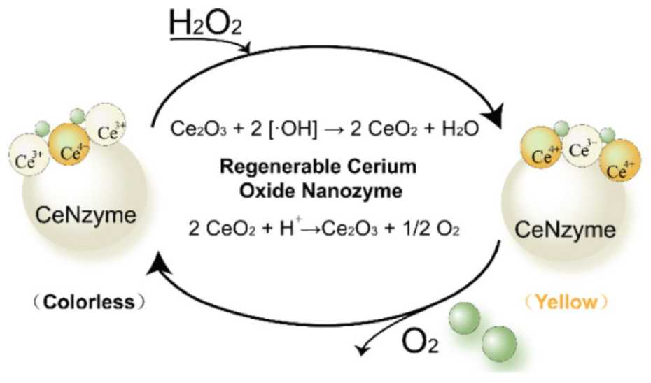 Micromachines 14 01017 g002