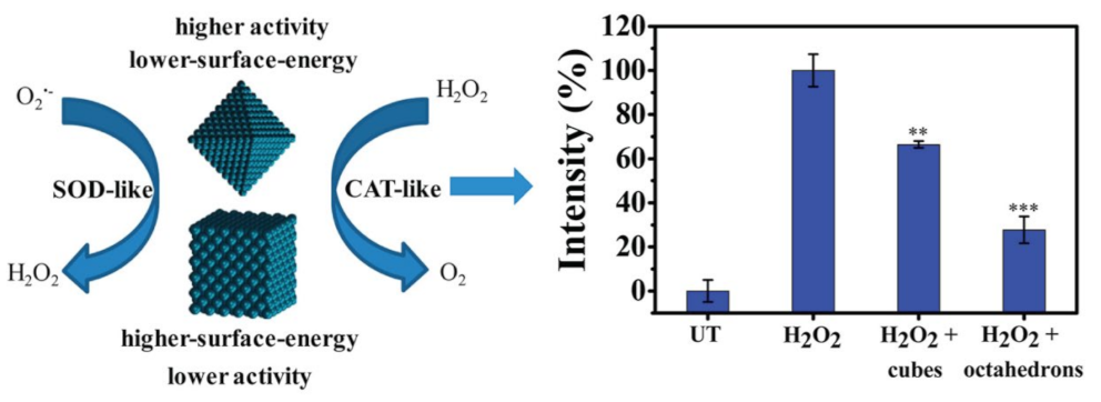 Micromachines 14 01017 g004