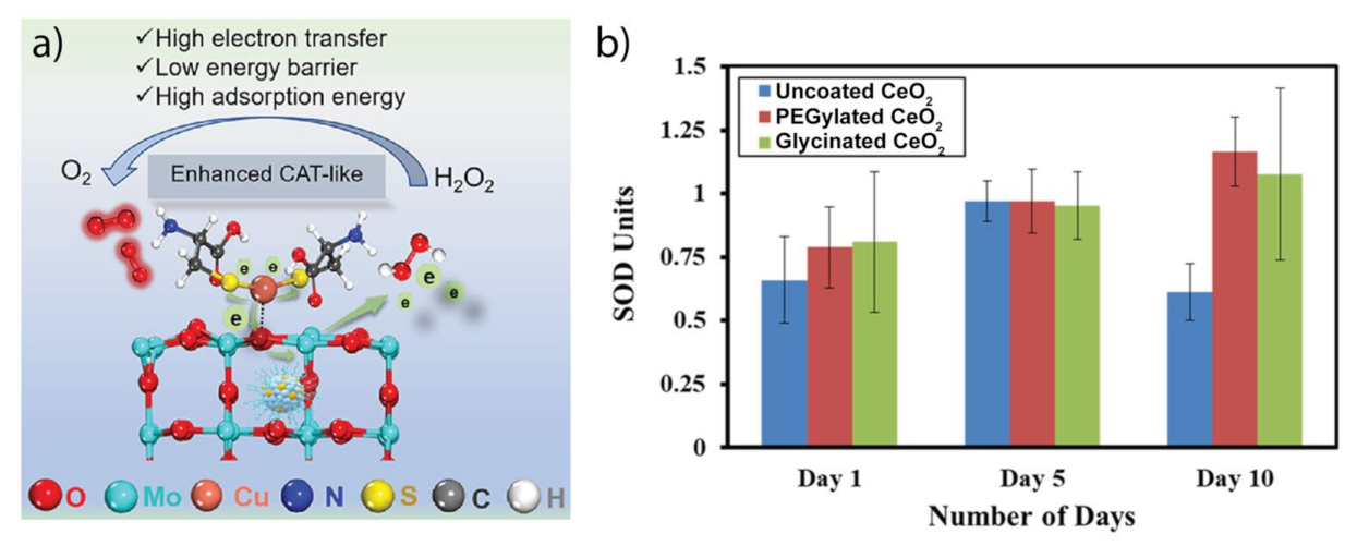 Micromachines 14 01017 g005