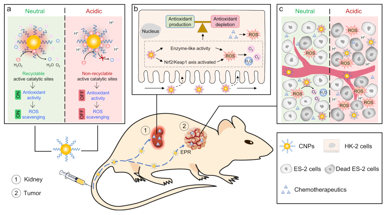 Micromachines 14 01017 g006