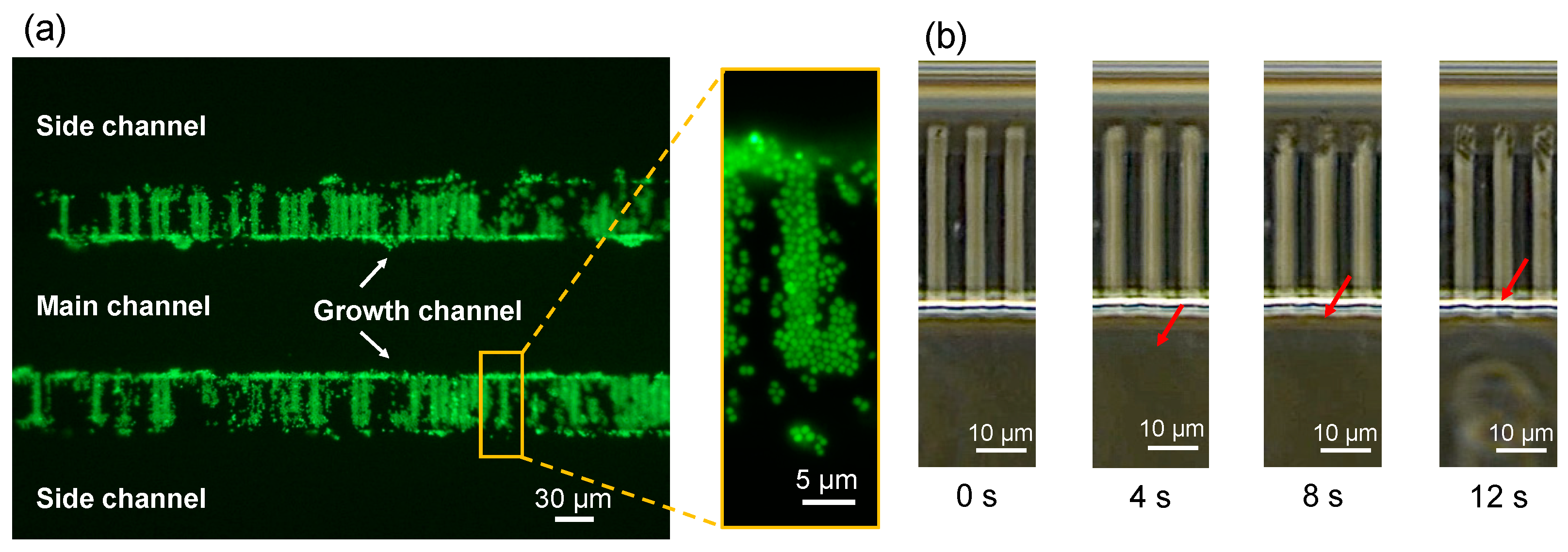 Micromachines 14 01027 g009