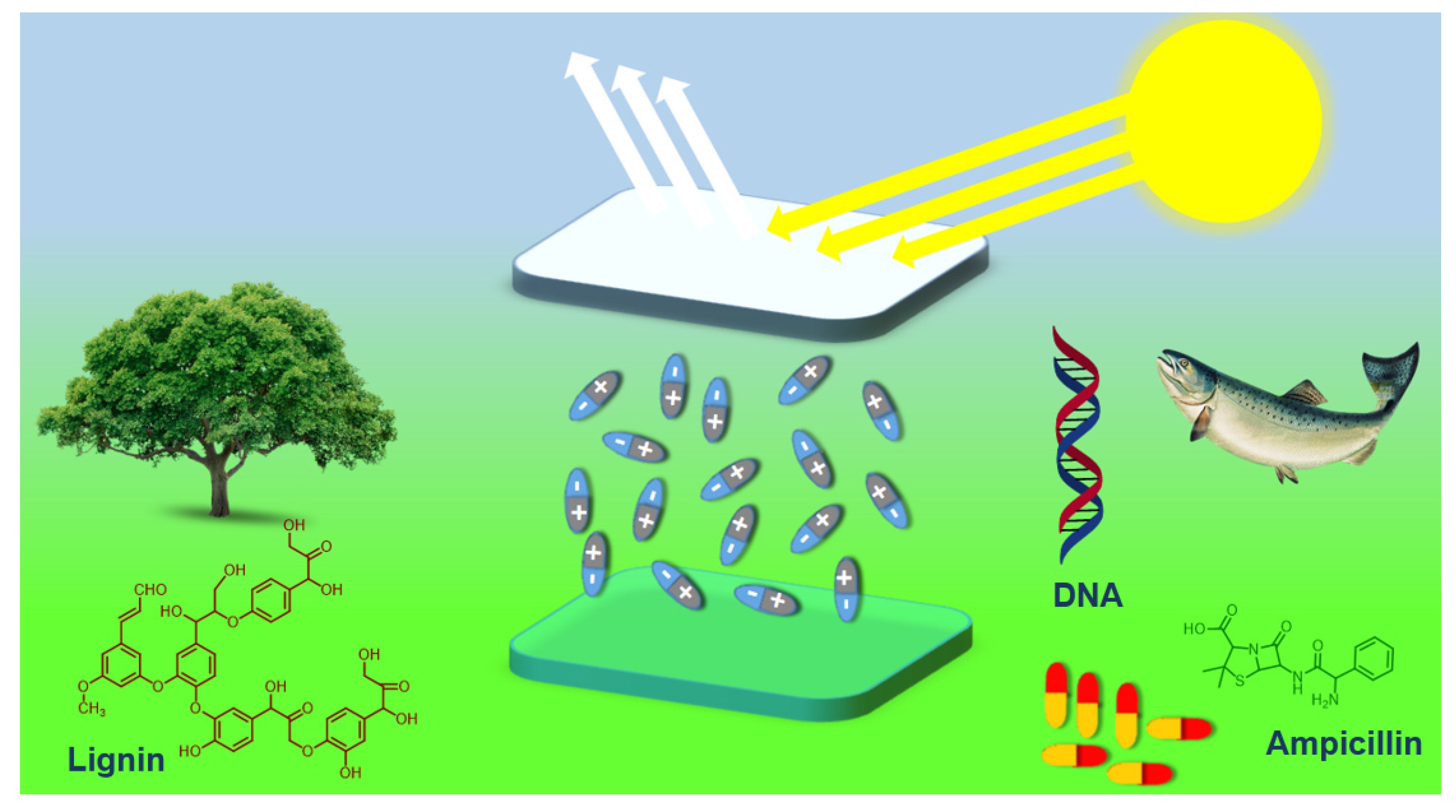 Micromachines 14 01171 g001