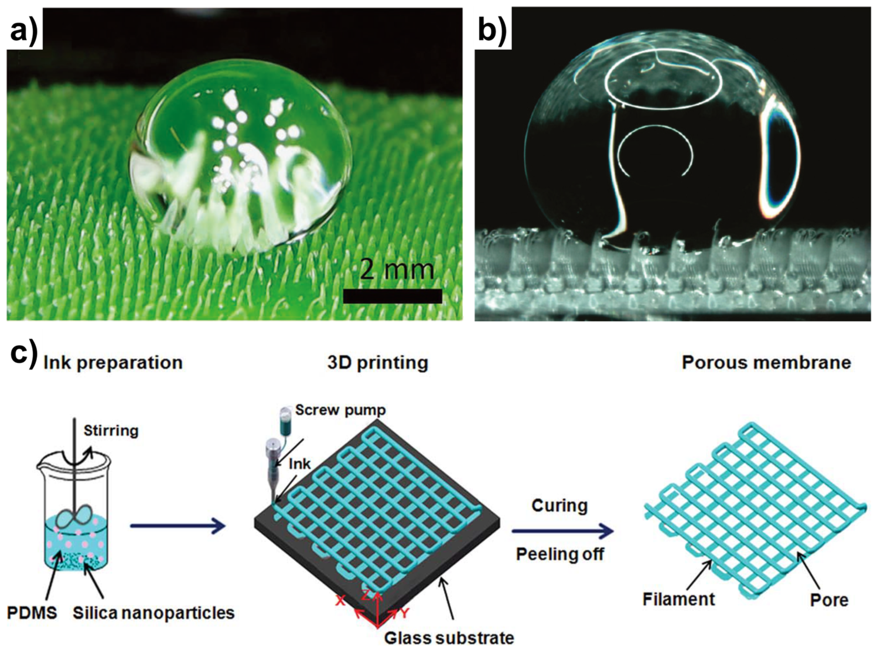 Micromachines 14 01216 g007